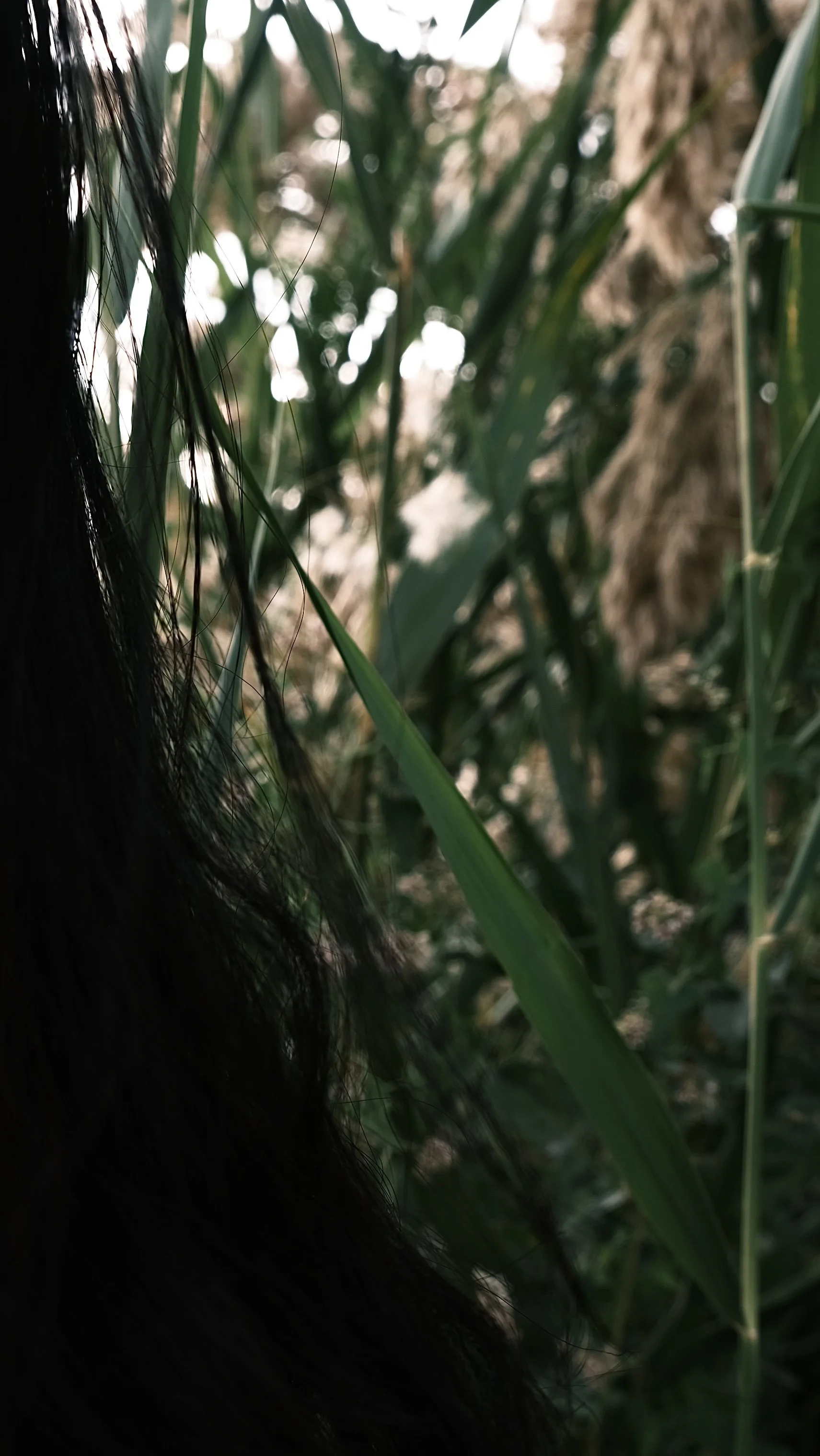 C00084D3-4D9F-4ABA-BF60-C4E4DE493F78-42753-0000398C71EB411B 2.jpg