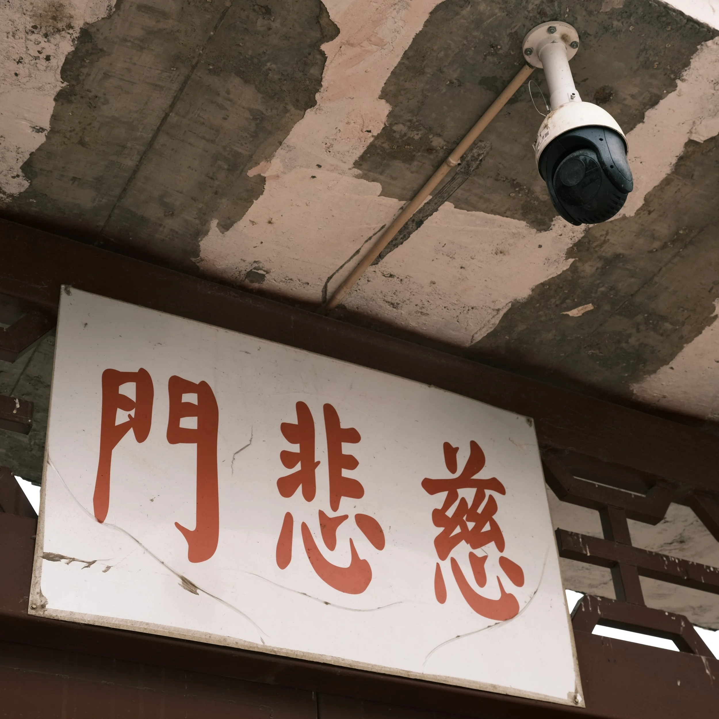 DA7E6534-7192-4ED2-BBAA-C3687C126E19-41505-000039547338CF55 2.JPG