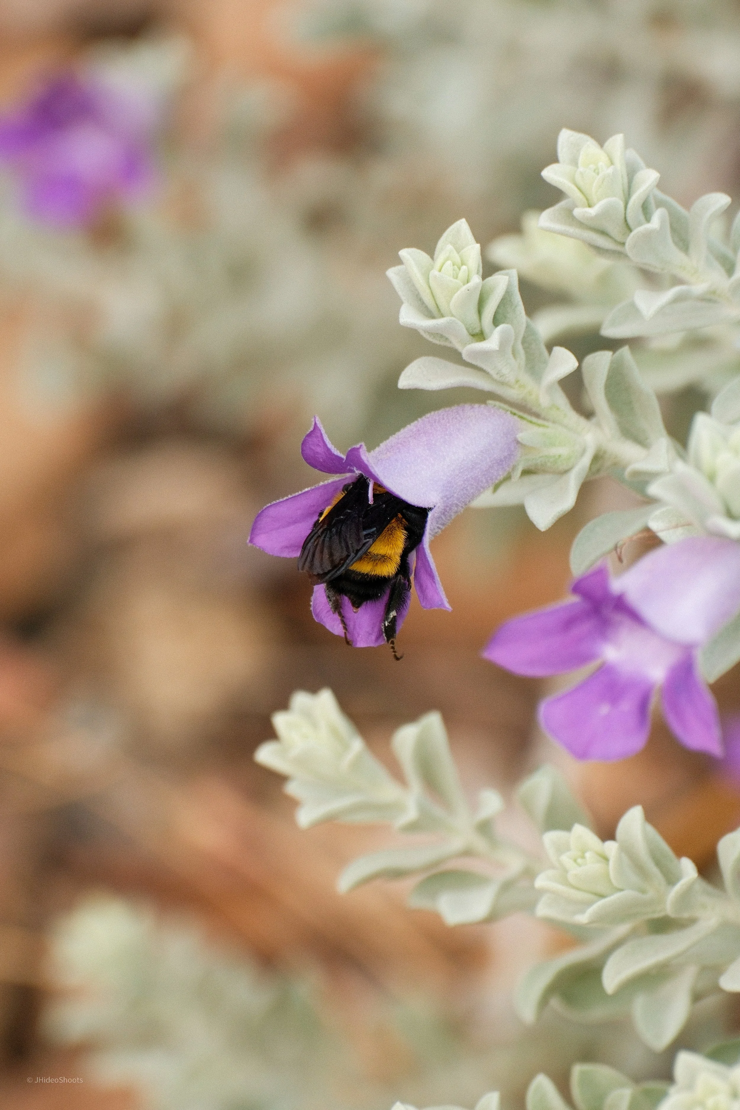 Heading into 2026…