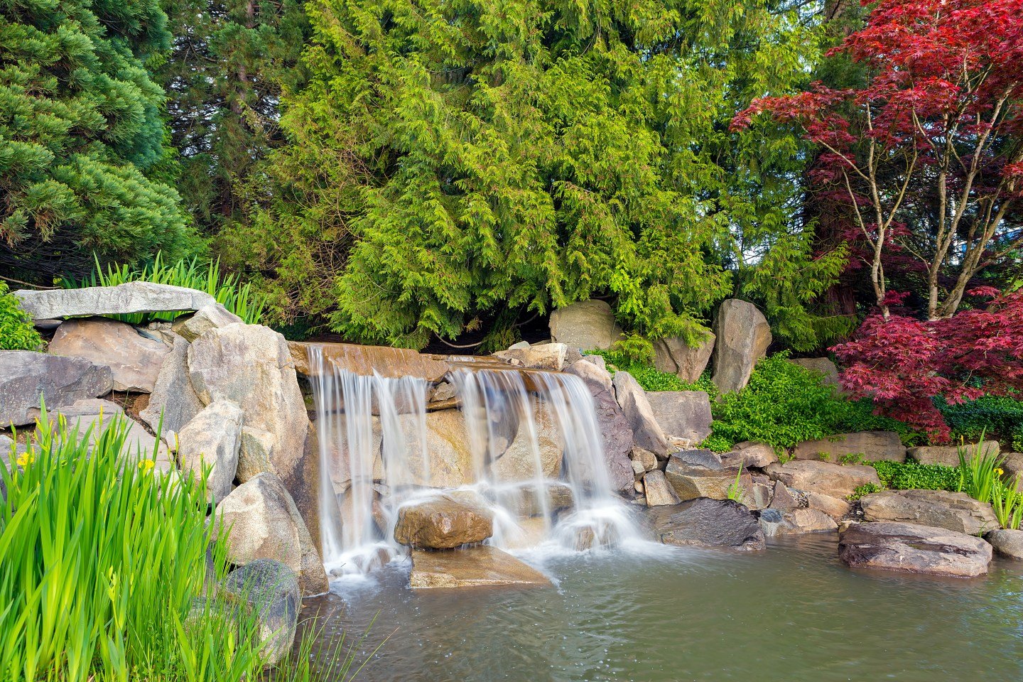 Landscape design with waterfall in Bellevue, WA