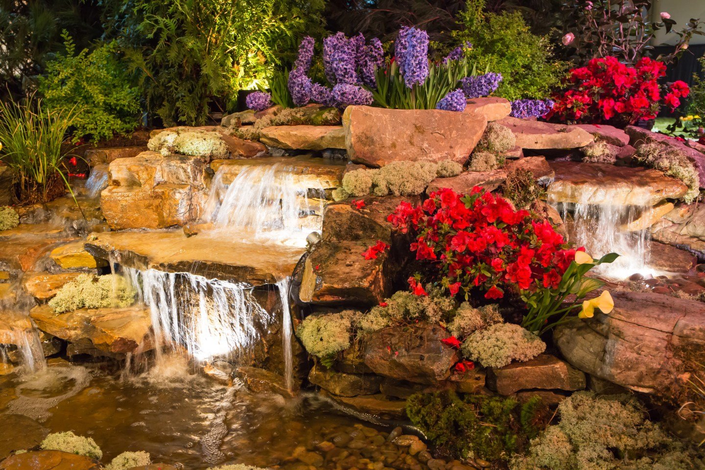 Ideas for water feature in Issaquah, WA