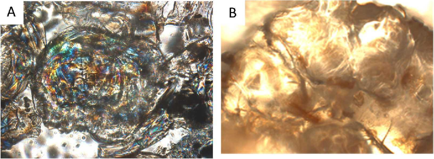 Light Ends Popcorn — Shiloh Scientific Consulting