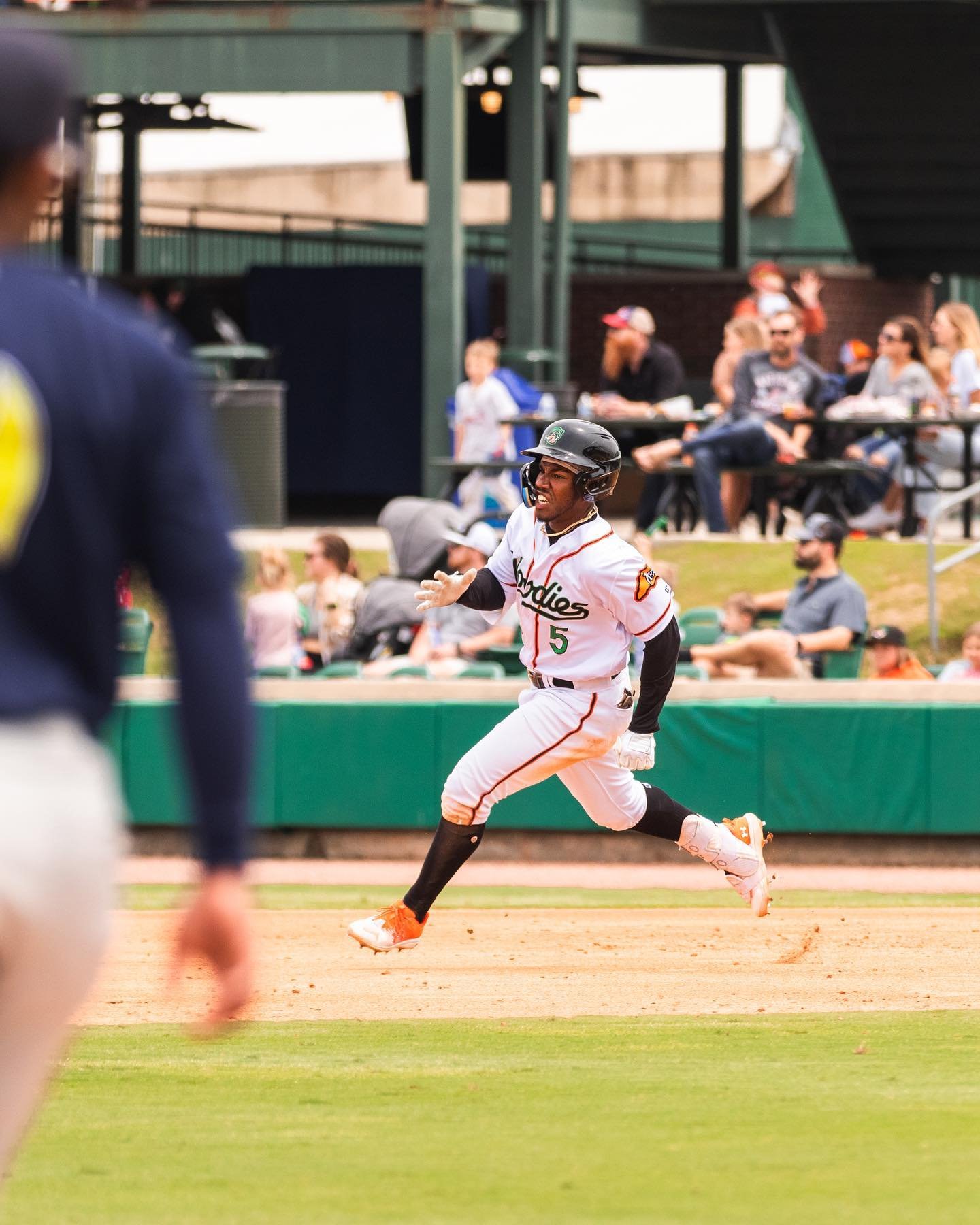 Recap frames from this past weekend with the @gowoodducks 🦆📸