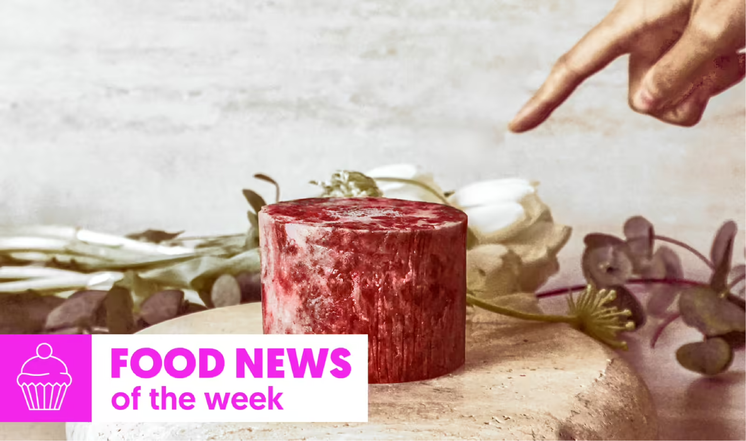 Vegnews