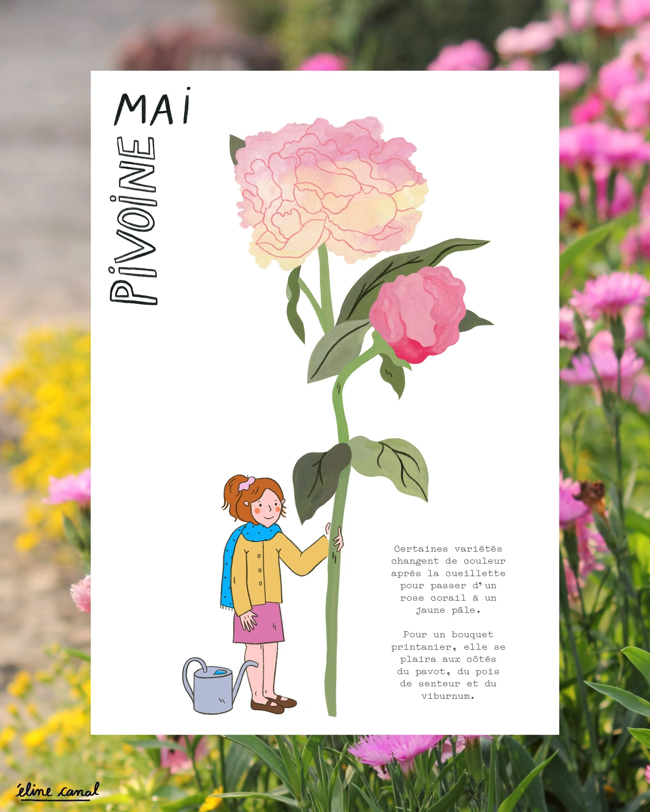 Post-Insta-calendrier-fleurs-saison-eline-canal-ENJOIE-10.jpg