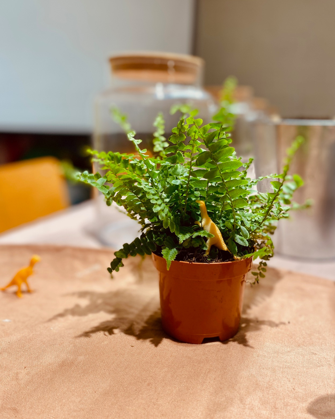 Illustrations-atelier-terrarium-enjoie-dinoel-2026-5.png