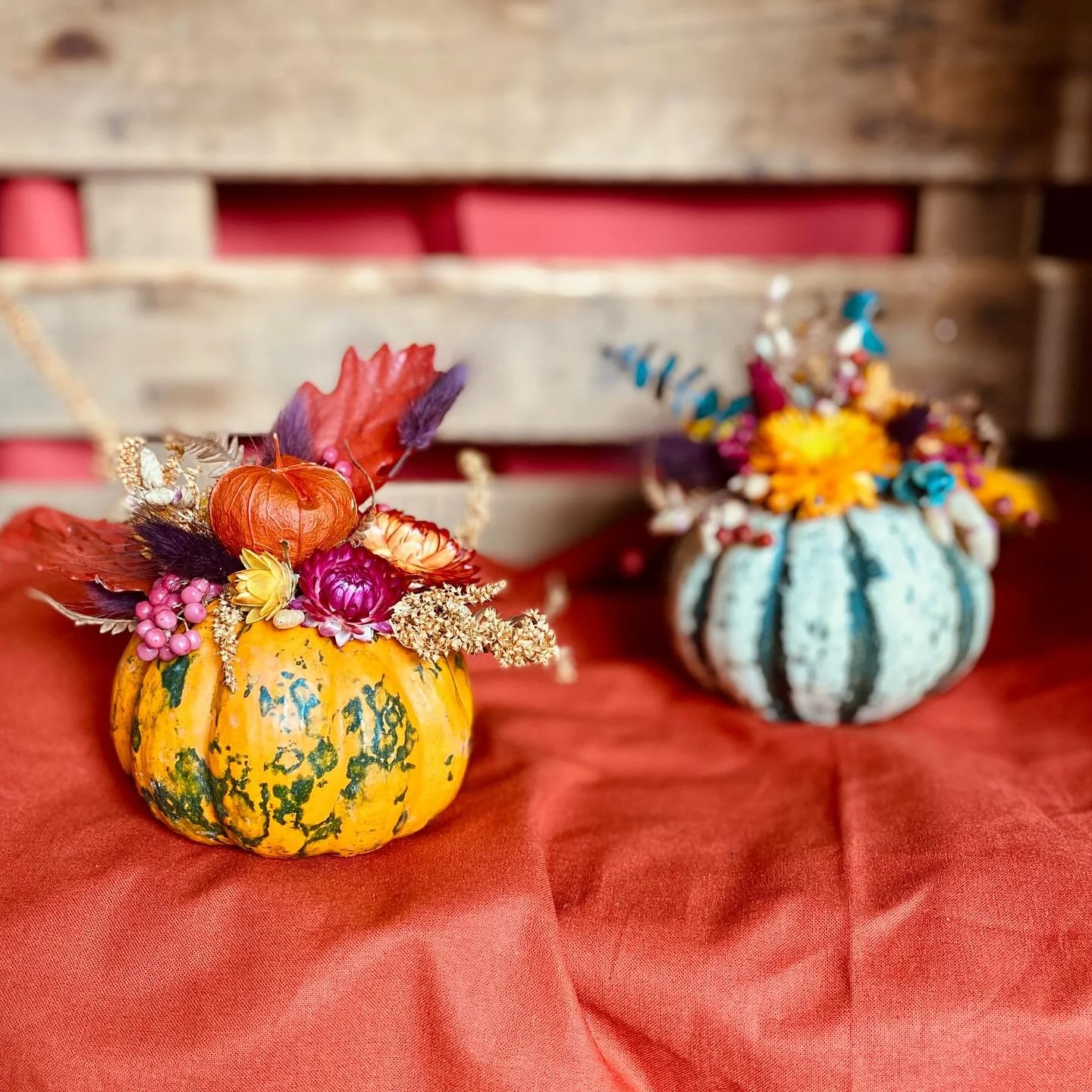 Let&rsquo;s fall in love 🍁
&bull;
Le mois le plus sous-c&ocirc;t&eacute; de l&rsquo;ann&eacute;e est bien l&agrave; (il n&rsquo;y a que Francis qui avait comprit &ccedil;a depuis bien longtemps) et je crois qu&rsquo;on sera d&rsquo;accord pour ouvri