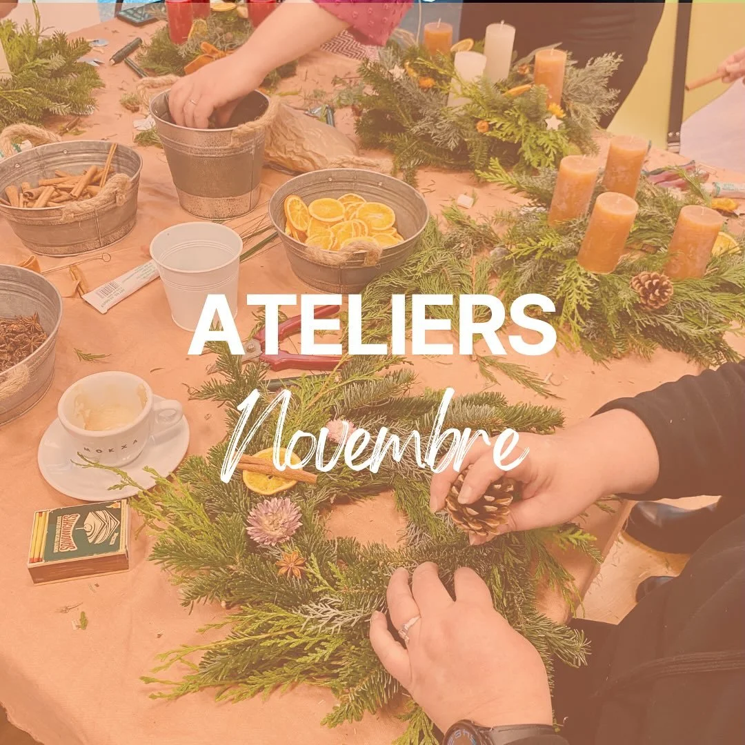 Les ateliers de novembre 🤓
•
Ils sont là et ils n’attendent que toi ! On est encore sur une programmation dense en ce mois de novembre dans plusieurs lieux cools de Strasbourg et on a toustes hâtent de te recevoir ☺️
•