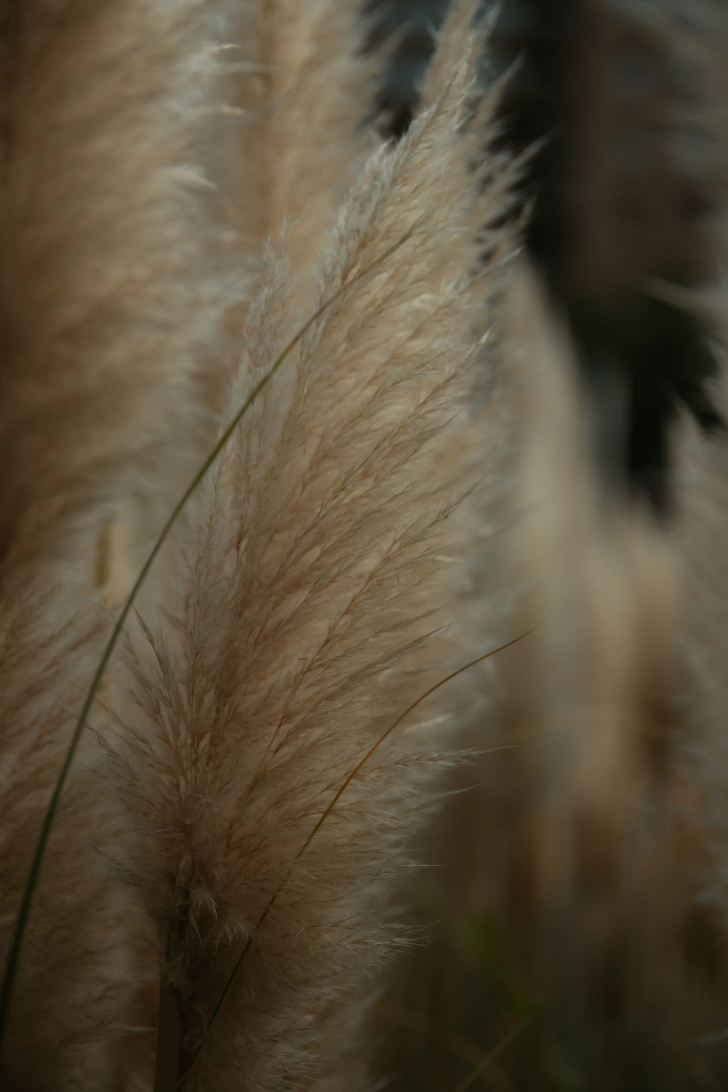 pexels-jorgeural-5687366.jpg