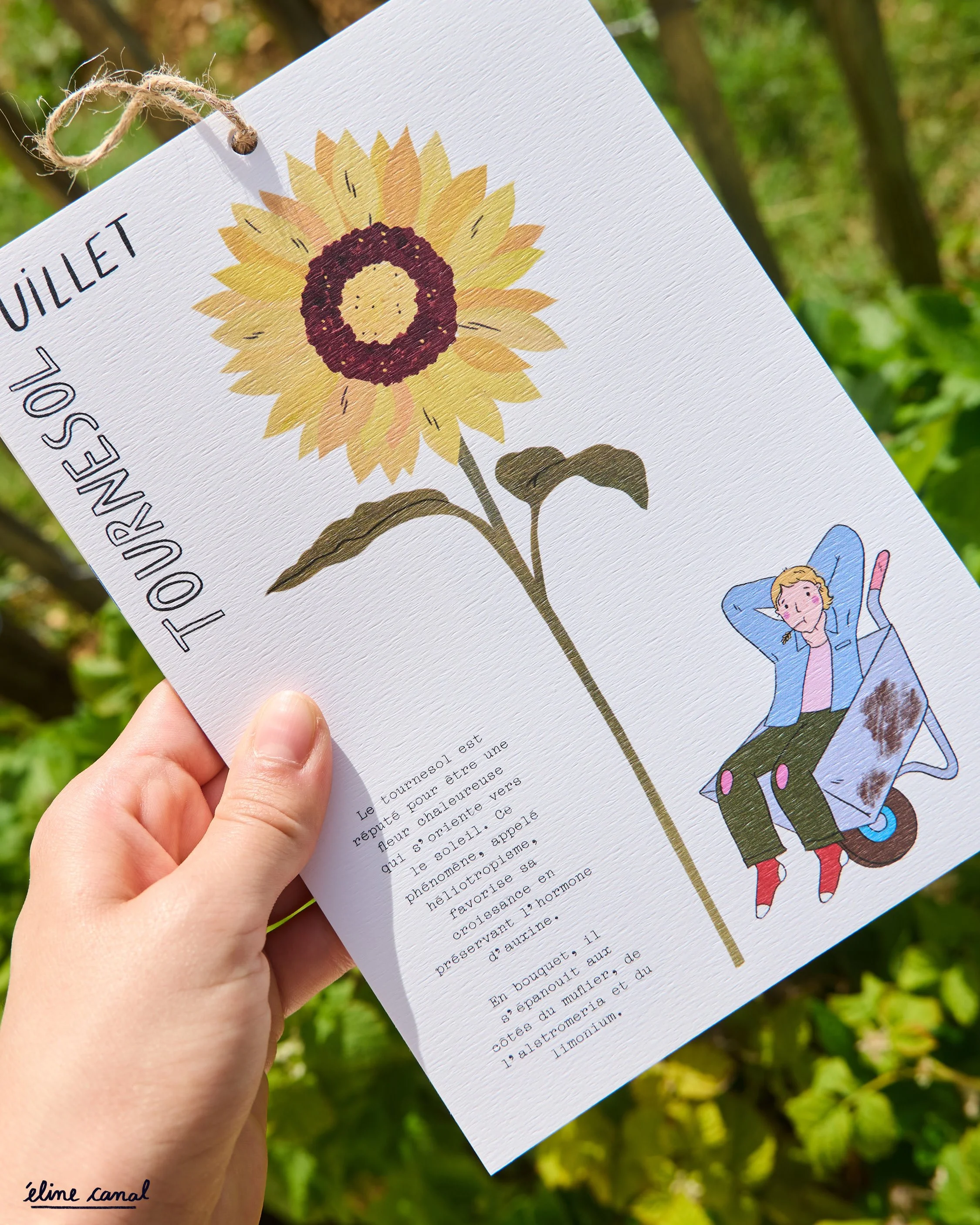 Post-Insta-calendrier-fleurs-saison-eline-canal-ENJOIE-8.jpg