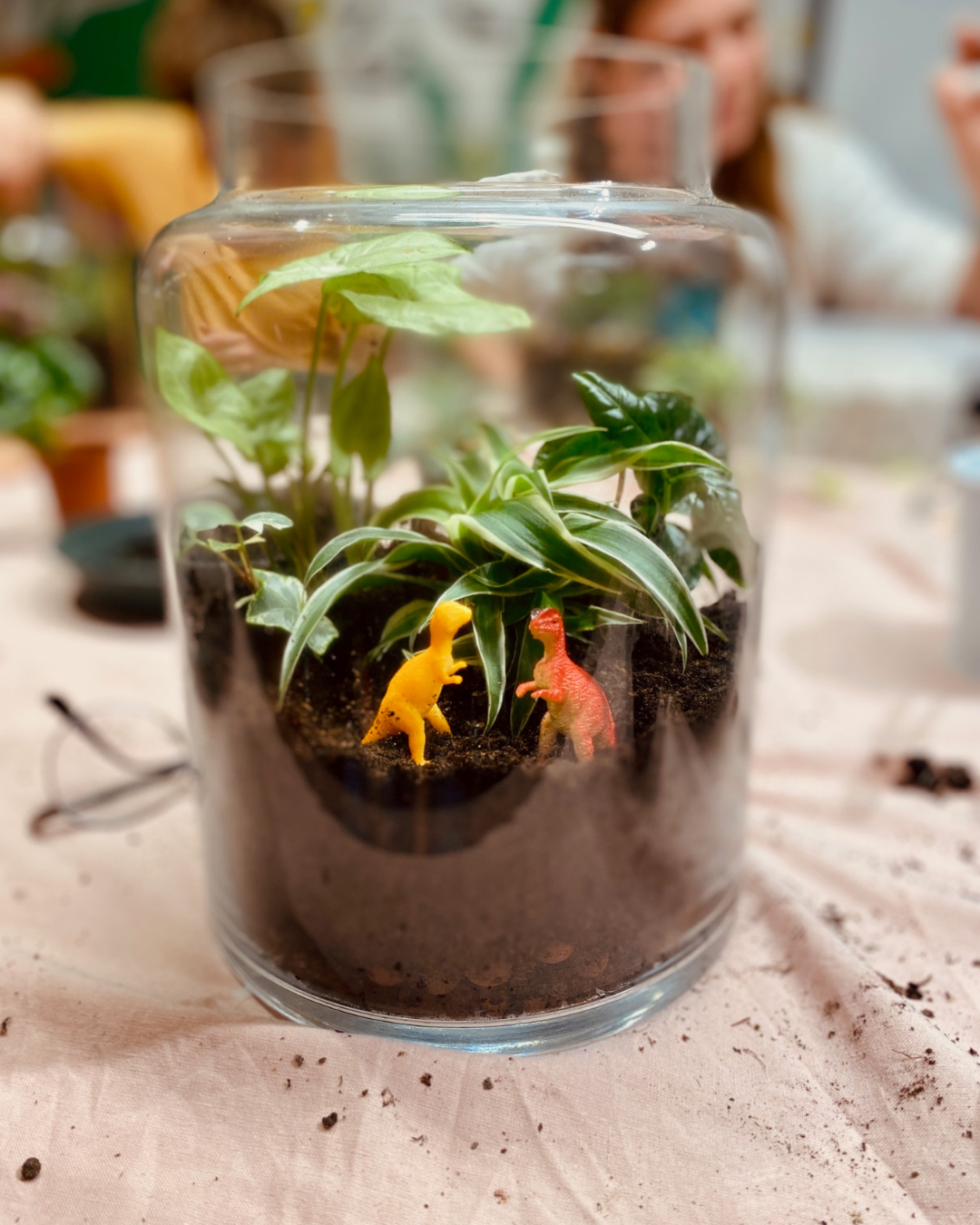 Illustrations-atelier-terrarium-enjoie-dinoel-2026-8.png