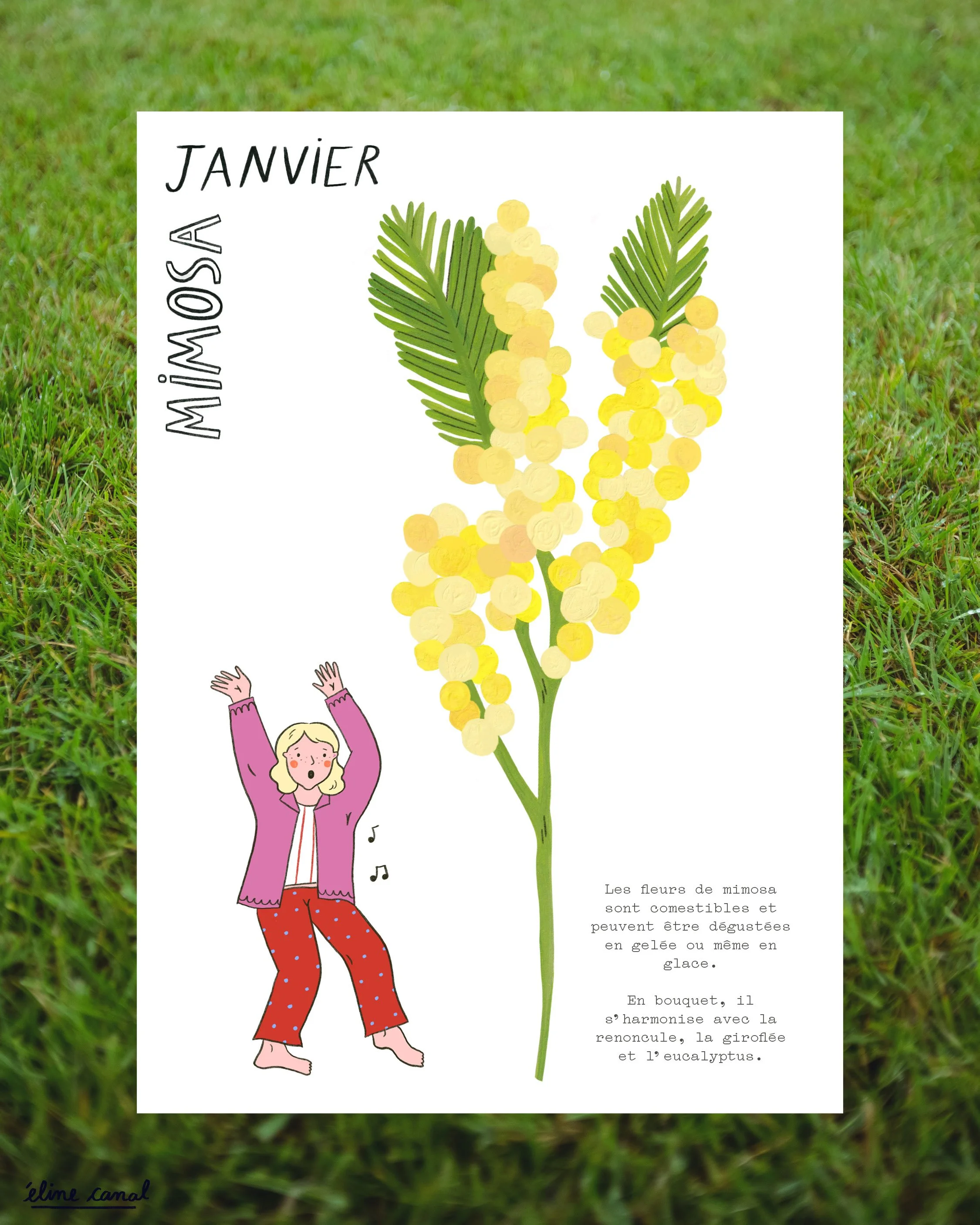 Post-Insta-calendrier-fleurs-saison-eline-canal-ENJOIE-9.jpg