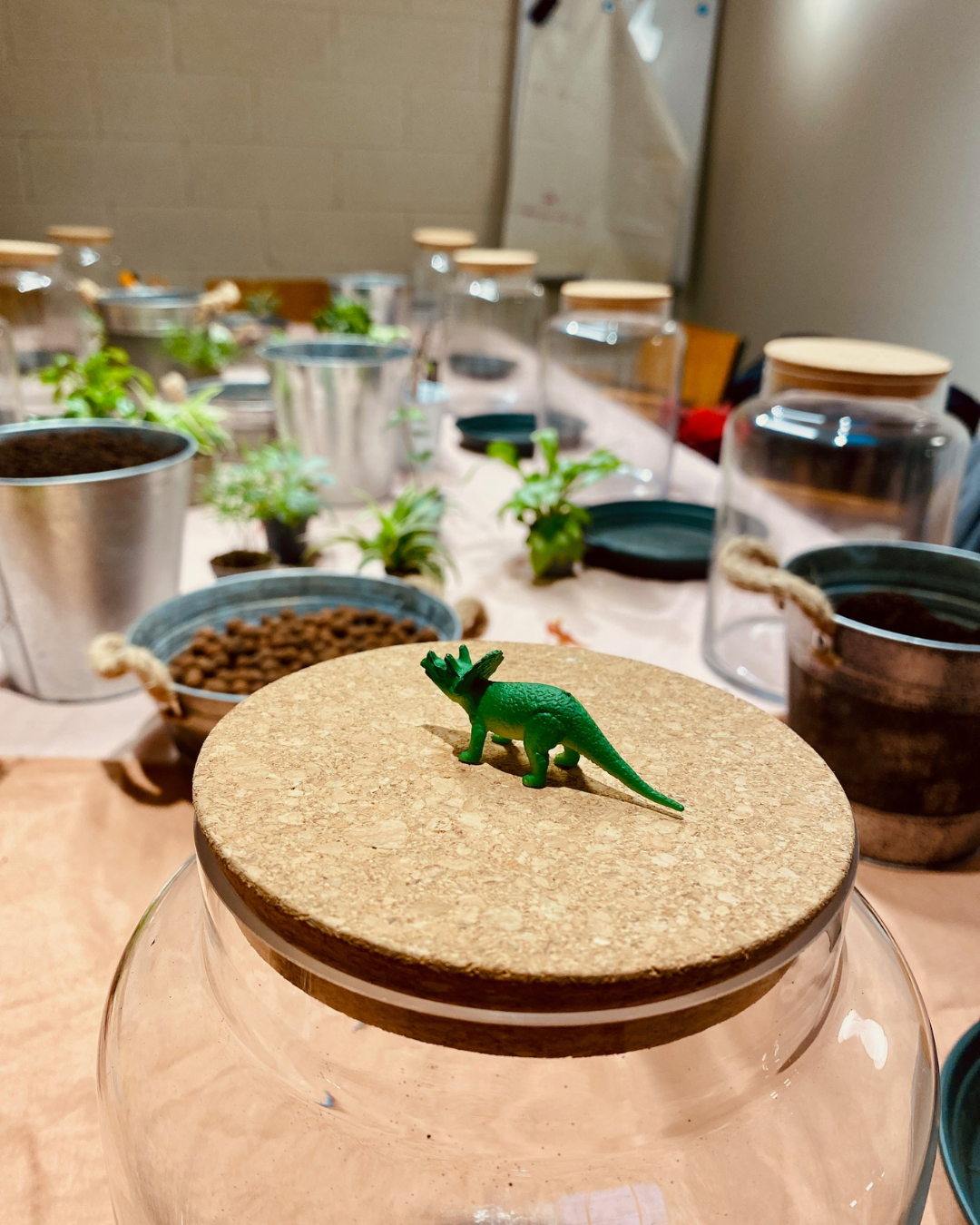 Illustrations-atelier-terrarium-enjoie-dinoel-2026-6.png