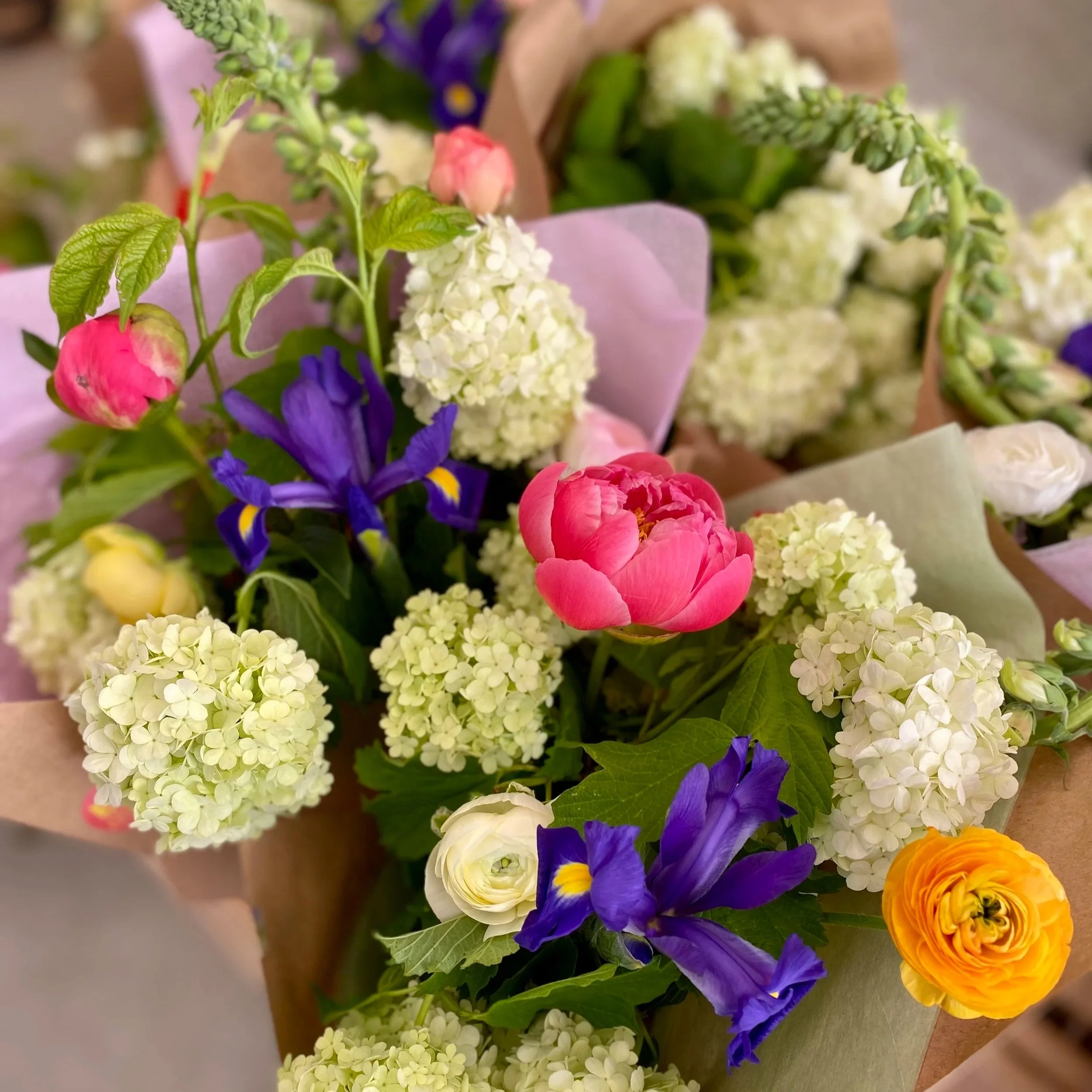 Bouquet-ENJOIE-mai-2025.jpg