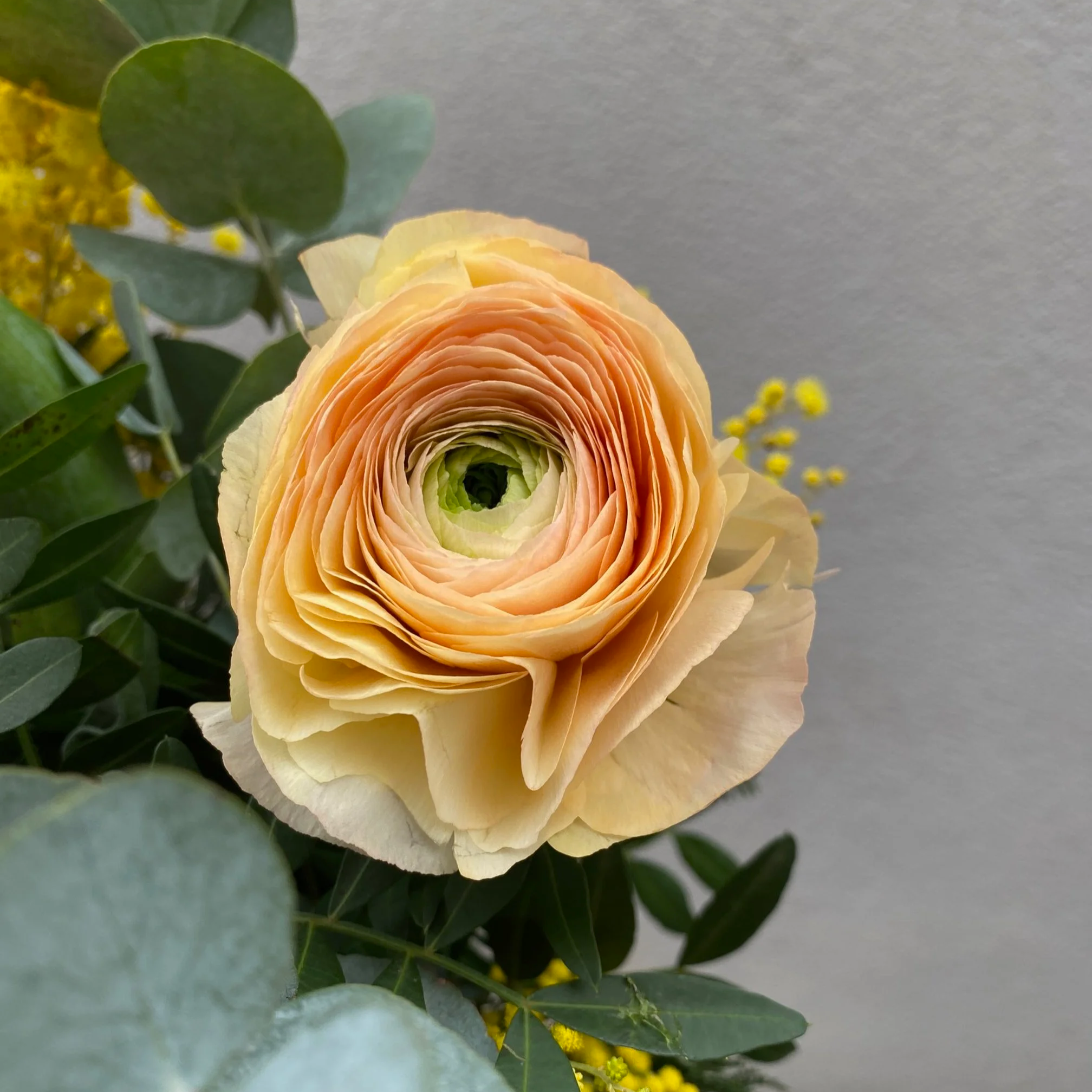 Bouquet-fleurs-hiver-2025-ENJOIE-3.png