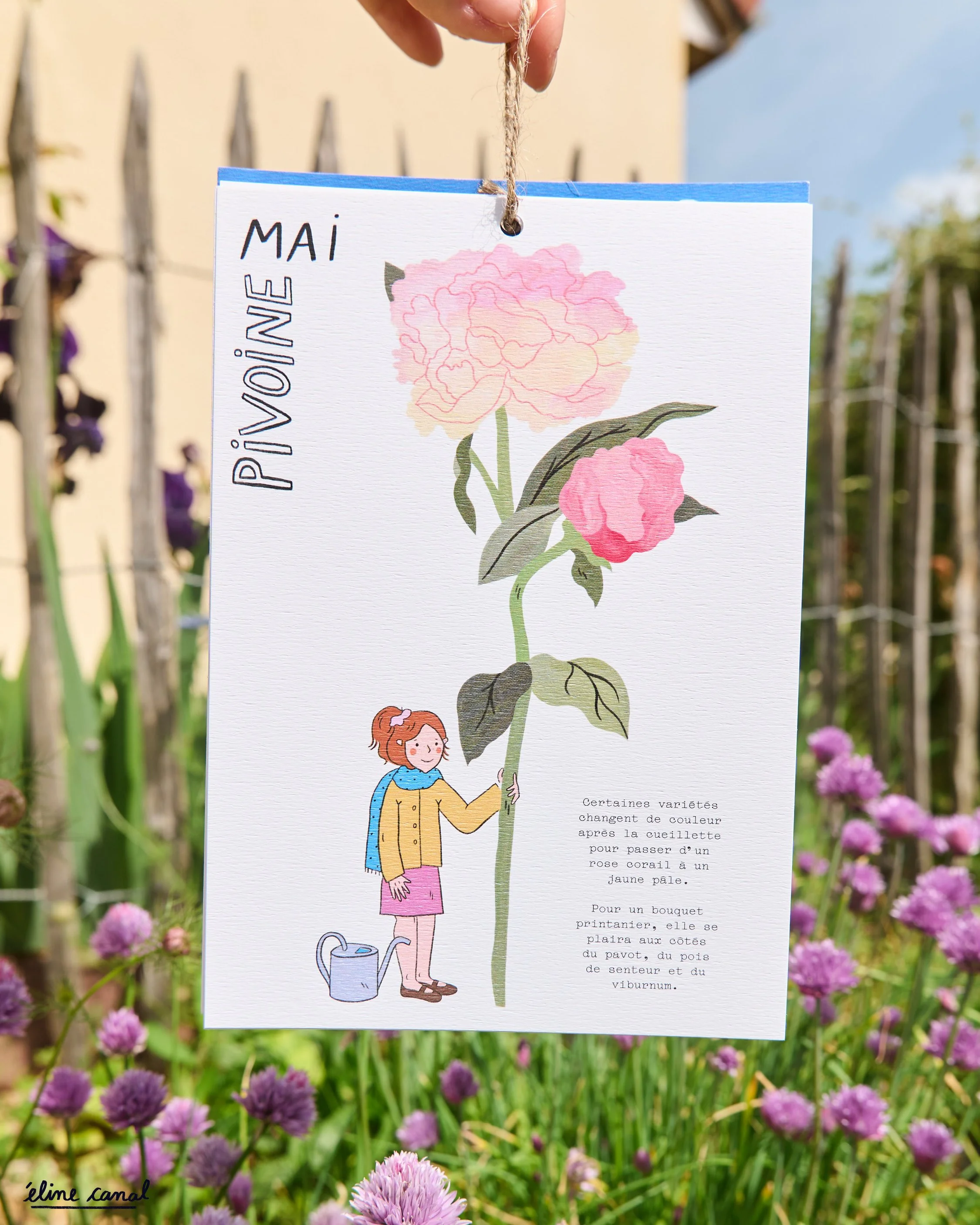 Post-Insta-calendrier-fleurs-saison-eline-canal-ENJOIE-4.jpg