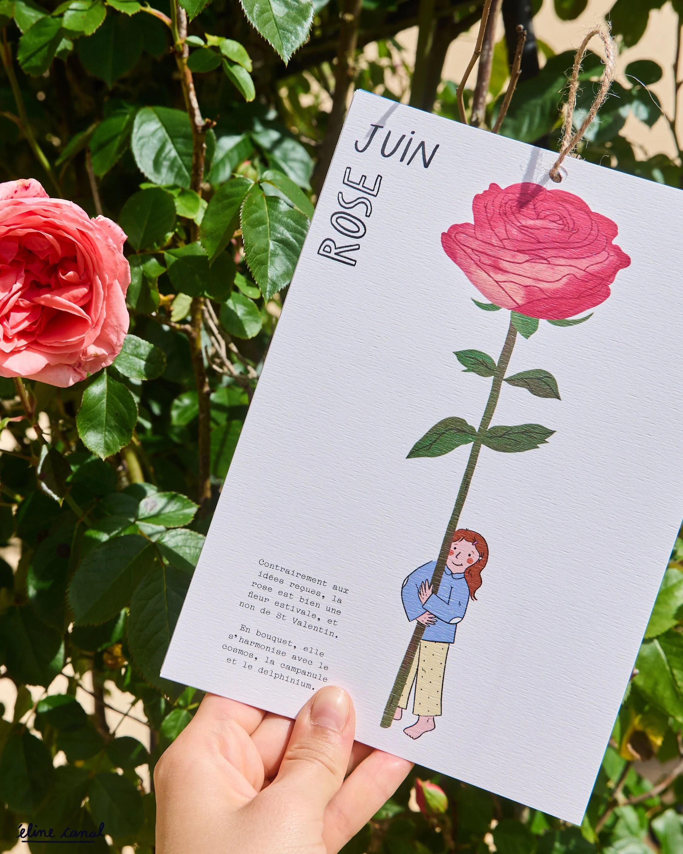 Post-Insta-calendrier-fleurs-saison-eline-canal-ENJOIE-6.jpg