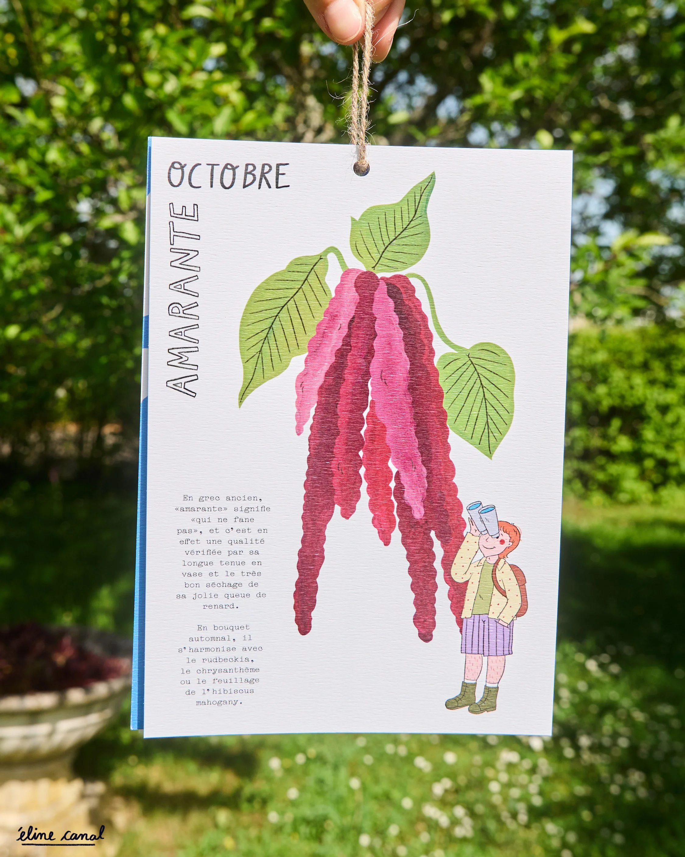 Post-Insta-calendrier-fleurs-saison-eline-canal-ENJOIE-5.jpg