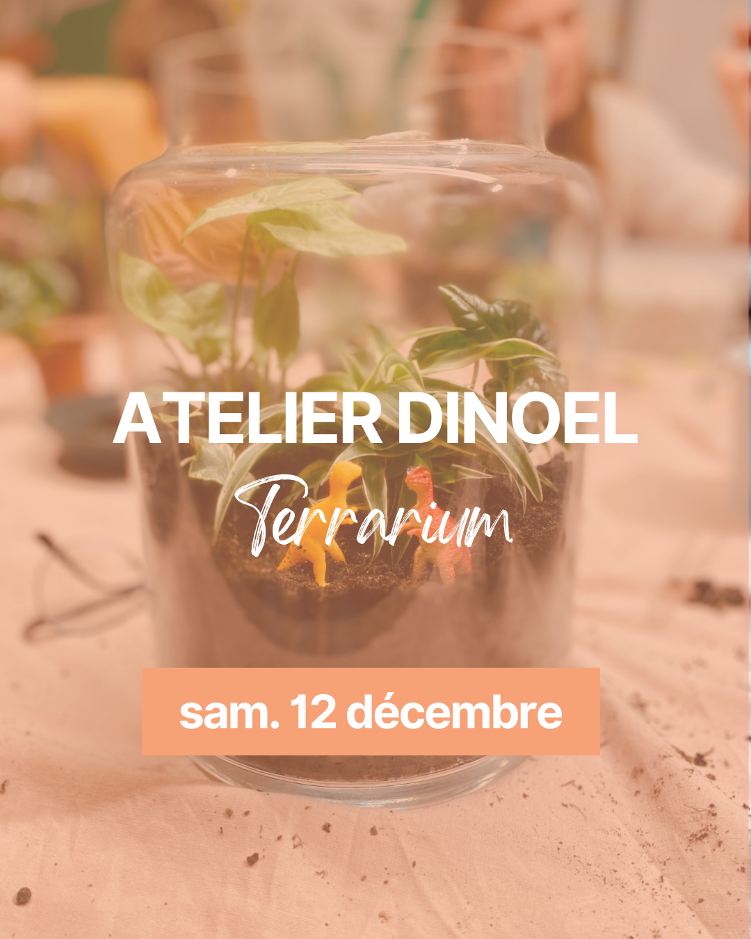 Illustrations-atelier-terrarium-enjoie-dinoel-2026-10.png