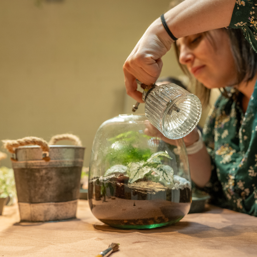 Atelier terrarium au café Les Compotes sur Strasbourg (avril 2025)