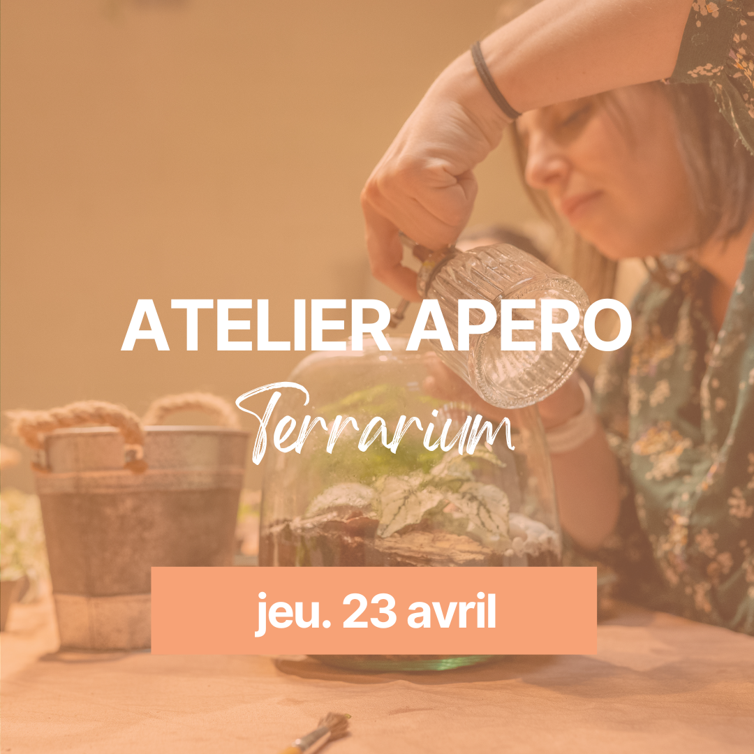 Visuel-site-atelier-apero-terrarium-230426-ENJOIE.png