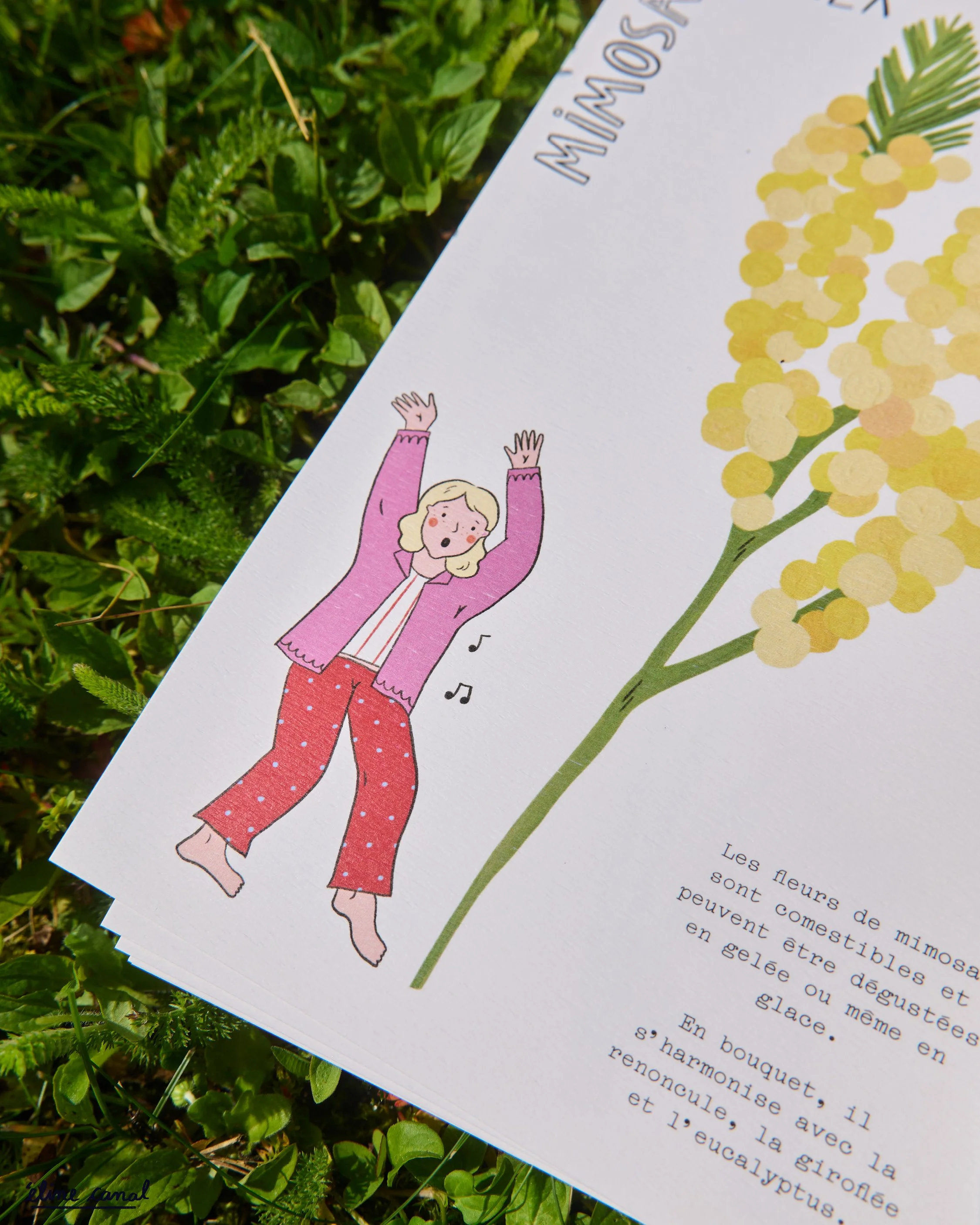 Post-Insta-calendrier-fleurs-saison-eline-canal-ENJOIE-7.jpg