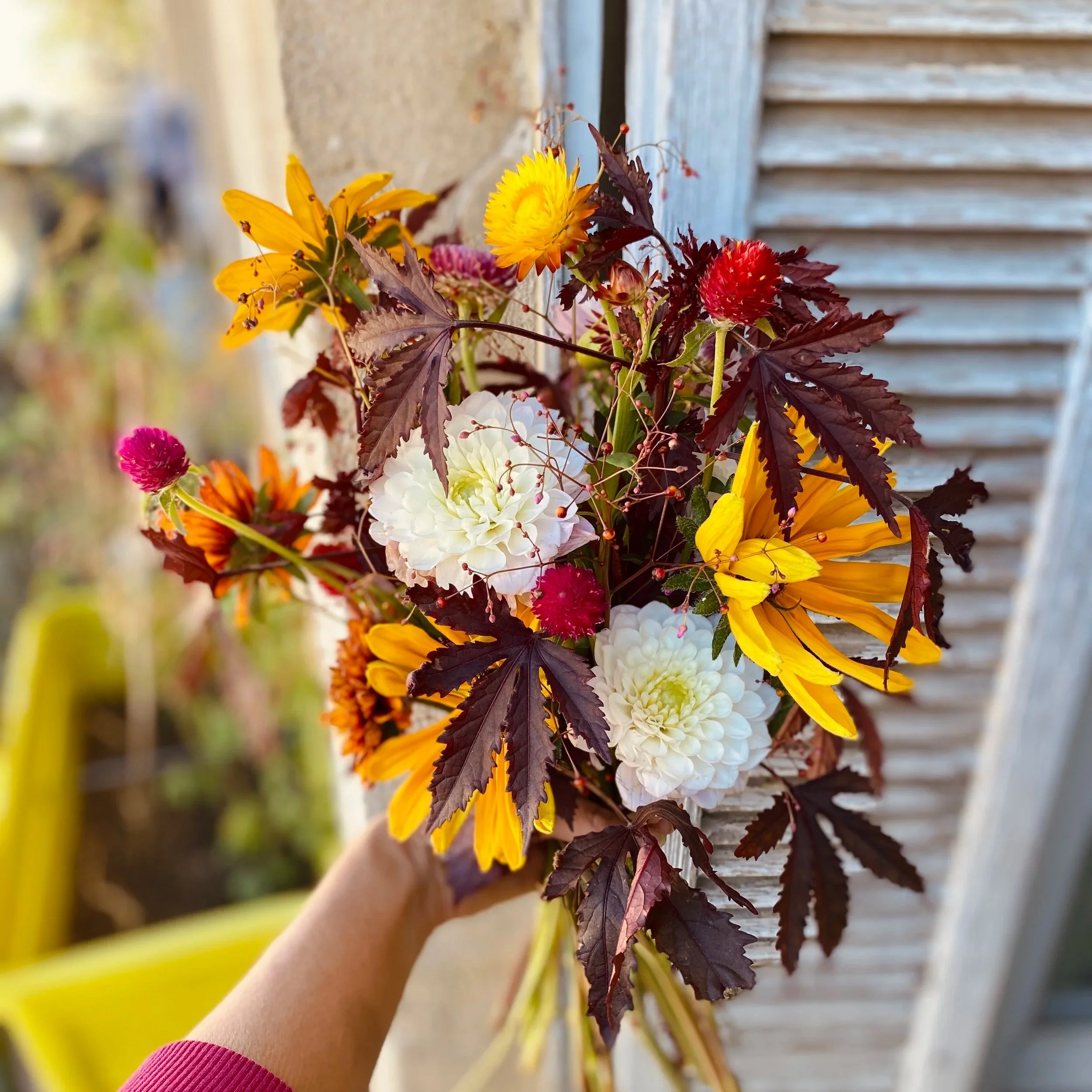 Bouquet-RUIZ.jpg