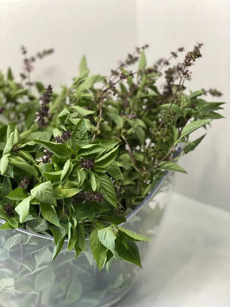 Herb Bundle | Single Herb (12 Stems)