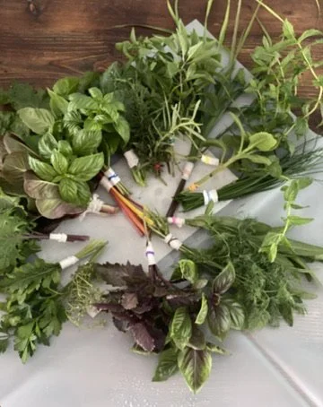 Weekly Herb Bouquet