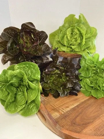 Kay’s Garden Mixed Greens (8oz)