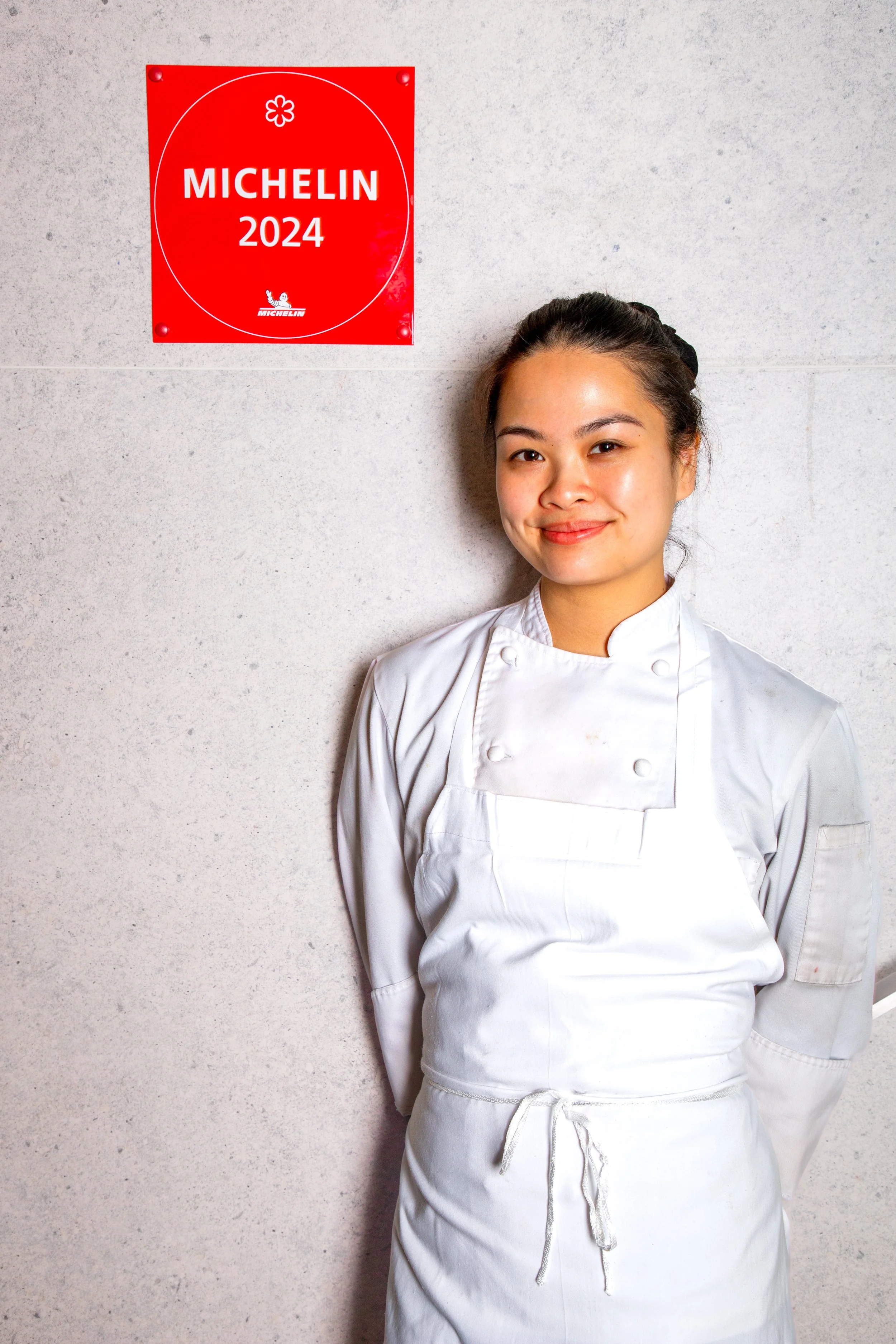 Michelean Star 03.jpg