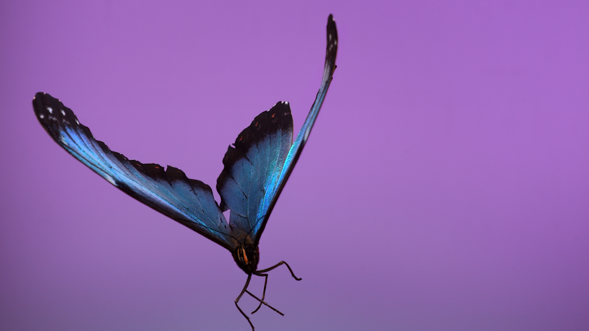 Constituted by a multichannel video and sound installation developed specifically for Fotografiska Shanghai, Andrea Galvani‘s first solo exhibition in Asia — The Void Migrates to the Surface.