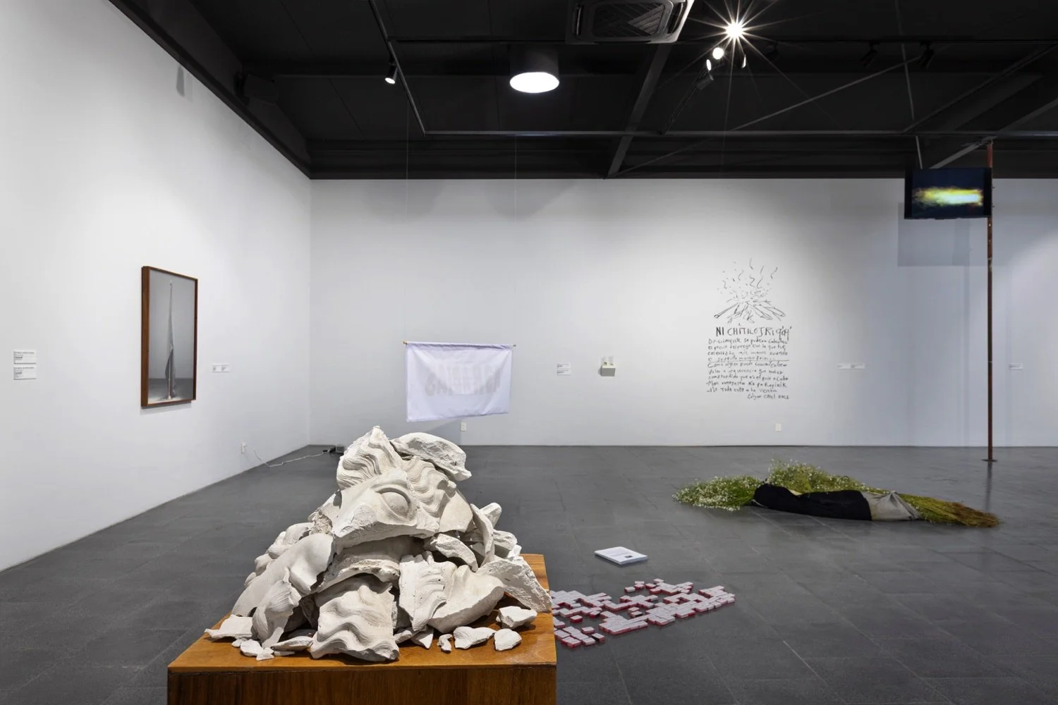 Cynthia Gutiérrez participa en "Lenguas Domesticadas"en Alma Colectiva con curaduría de GRIETA