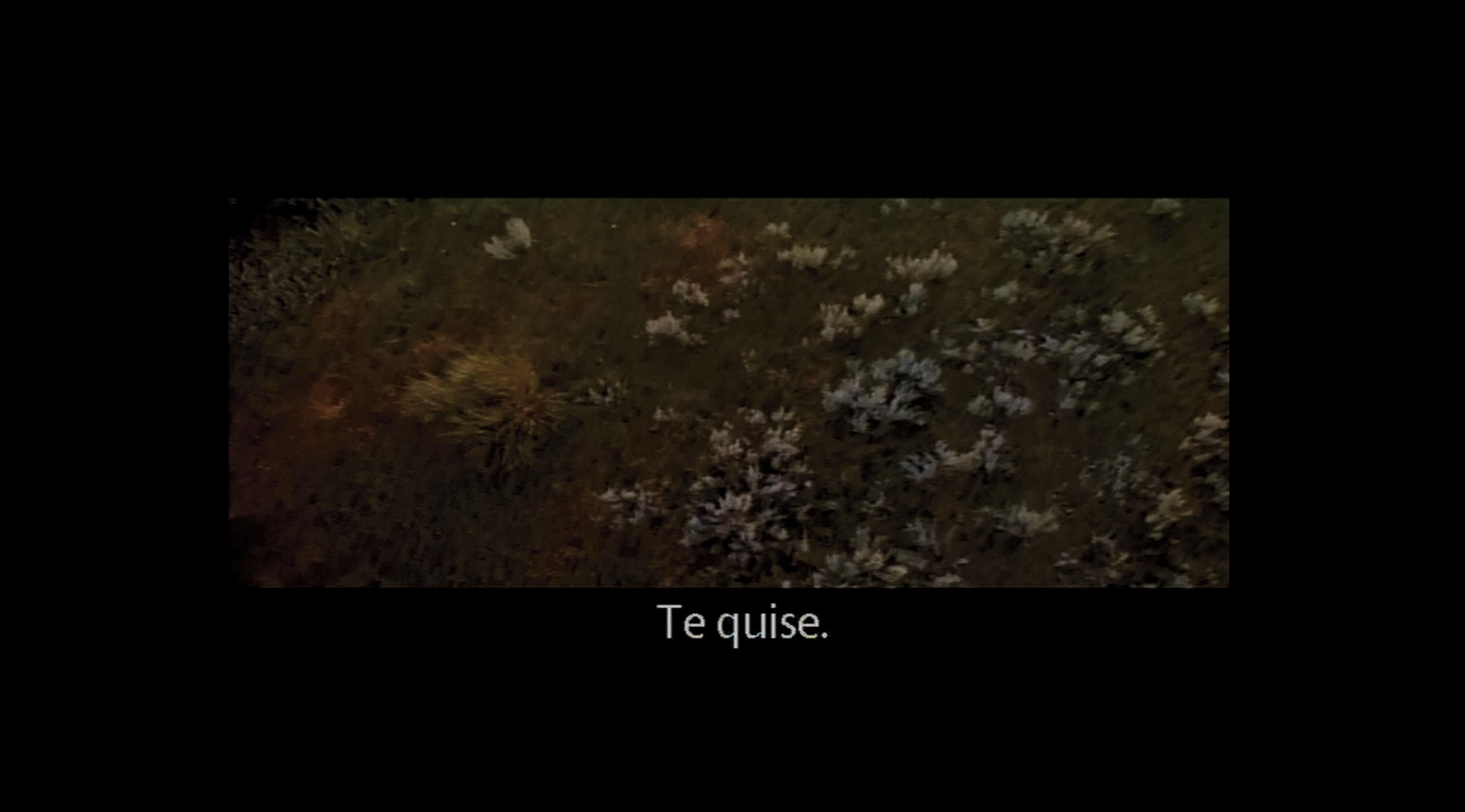 ifyou1.png