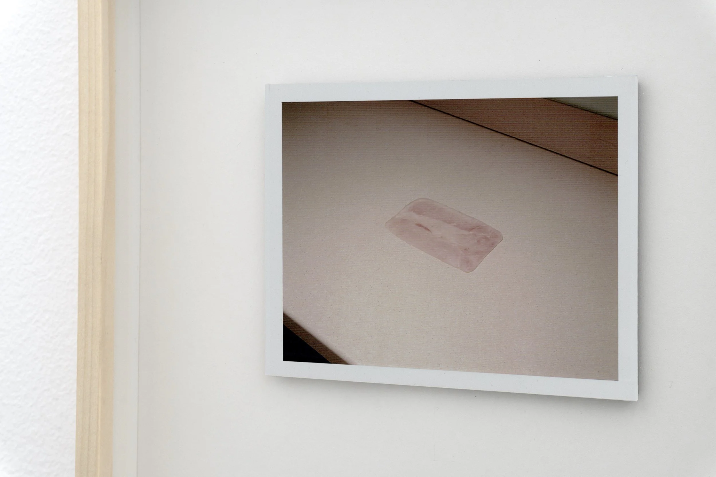 Mauricio Alejo | Polaroid "Ham"