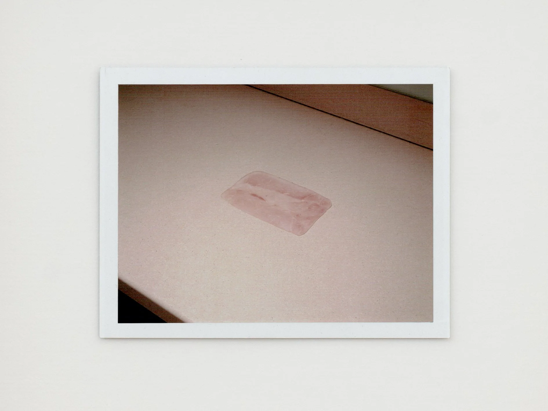 ham 2011 polaroid.jpg