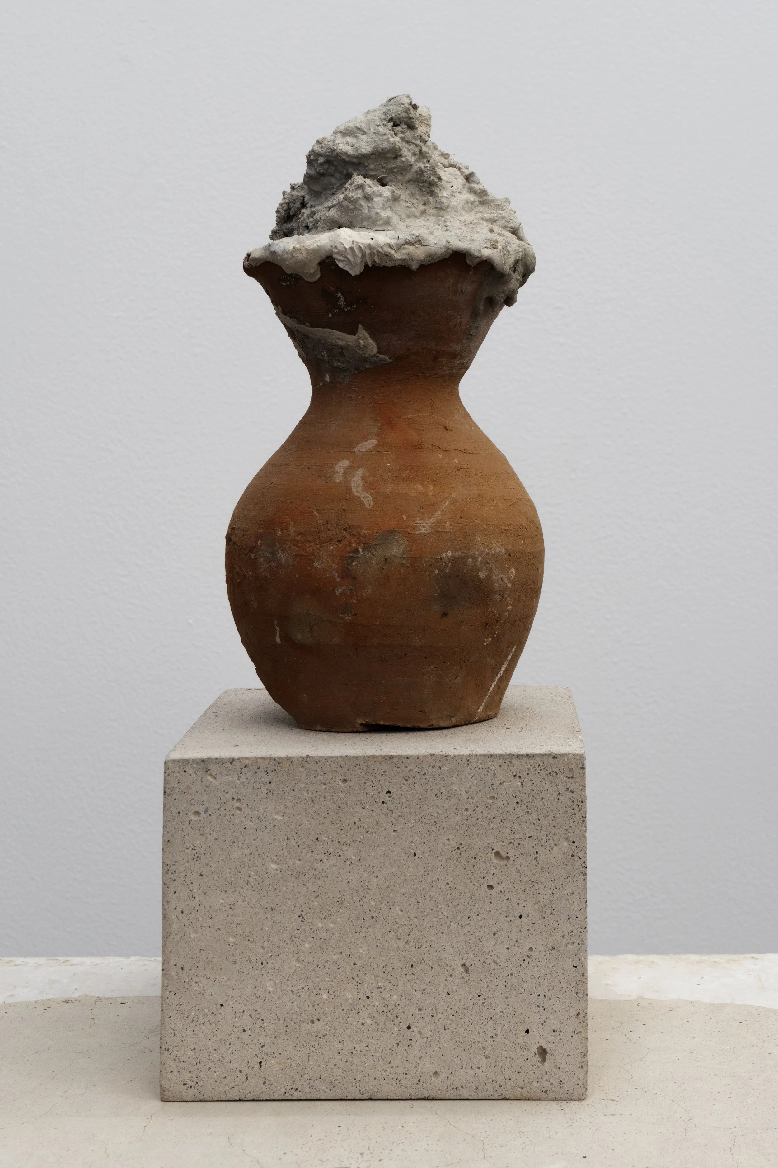 DSC08784.jpg
