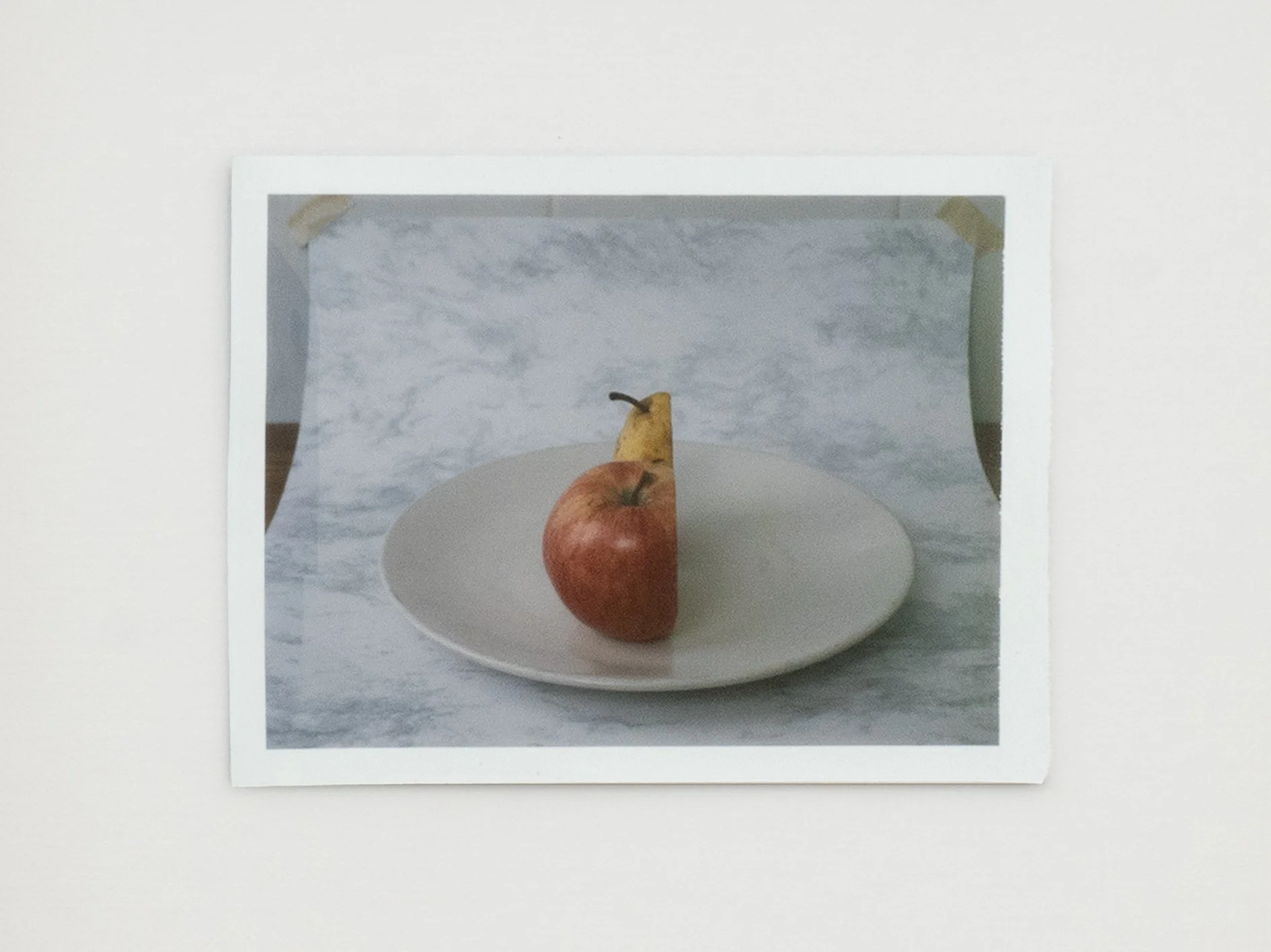 pear and apple 2014 polaroid.jpg