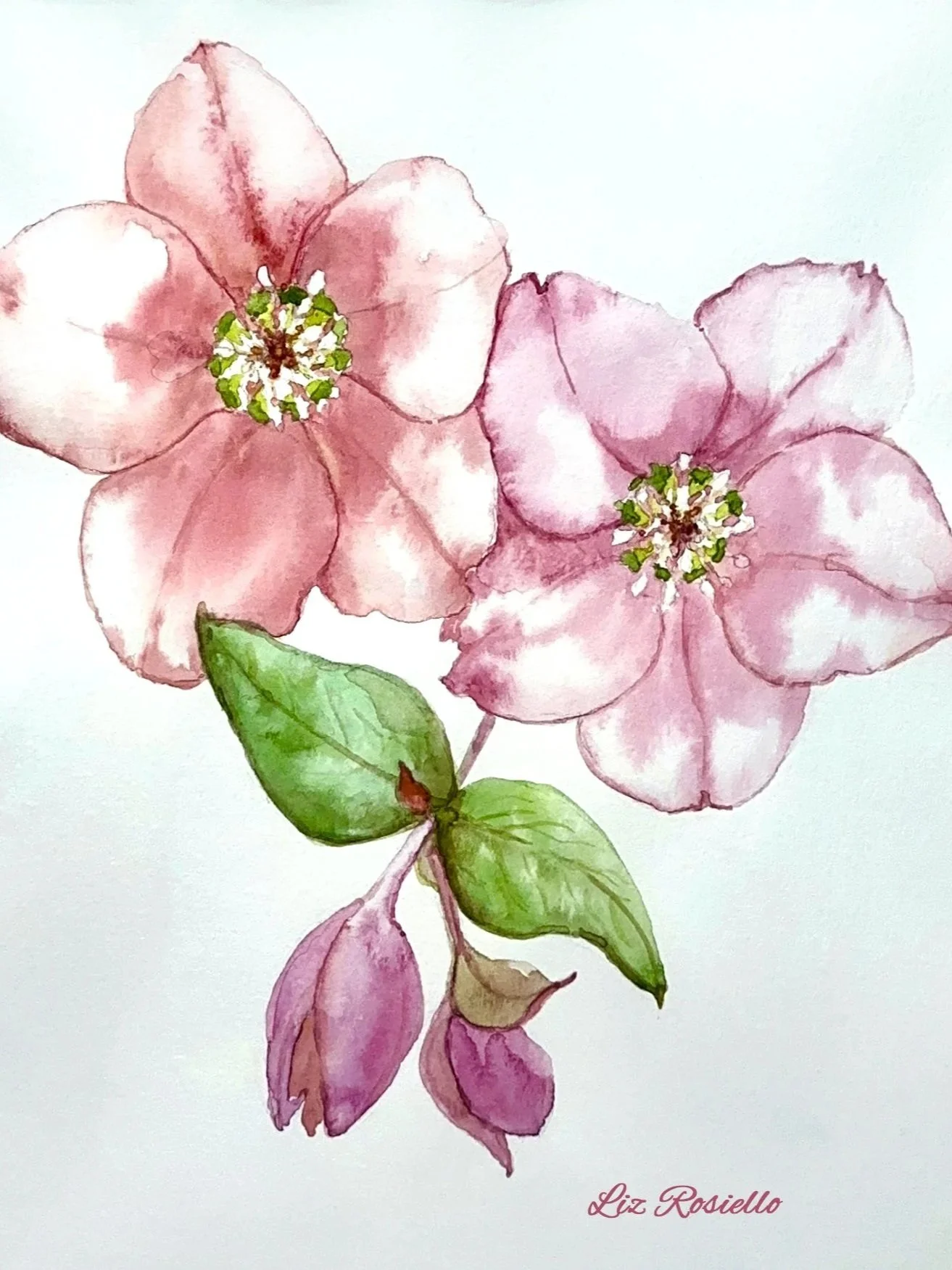 Pair of Anemones