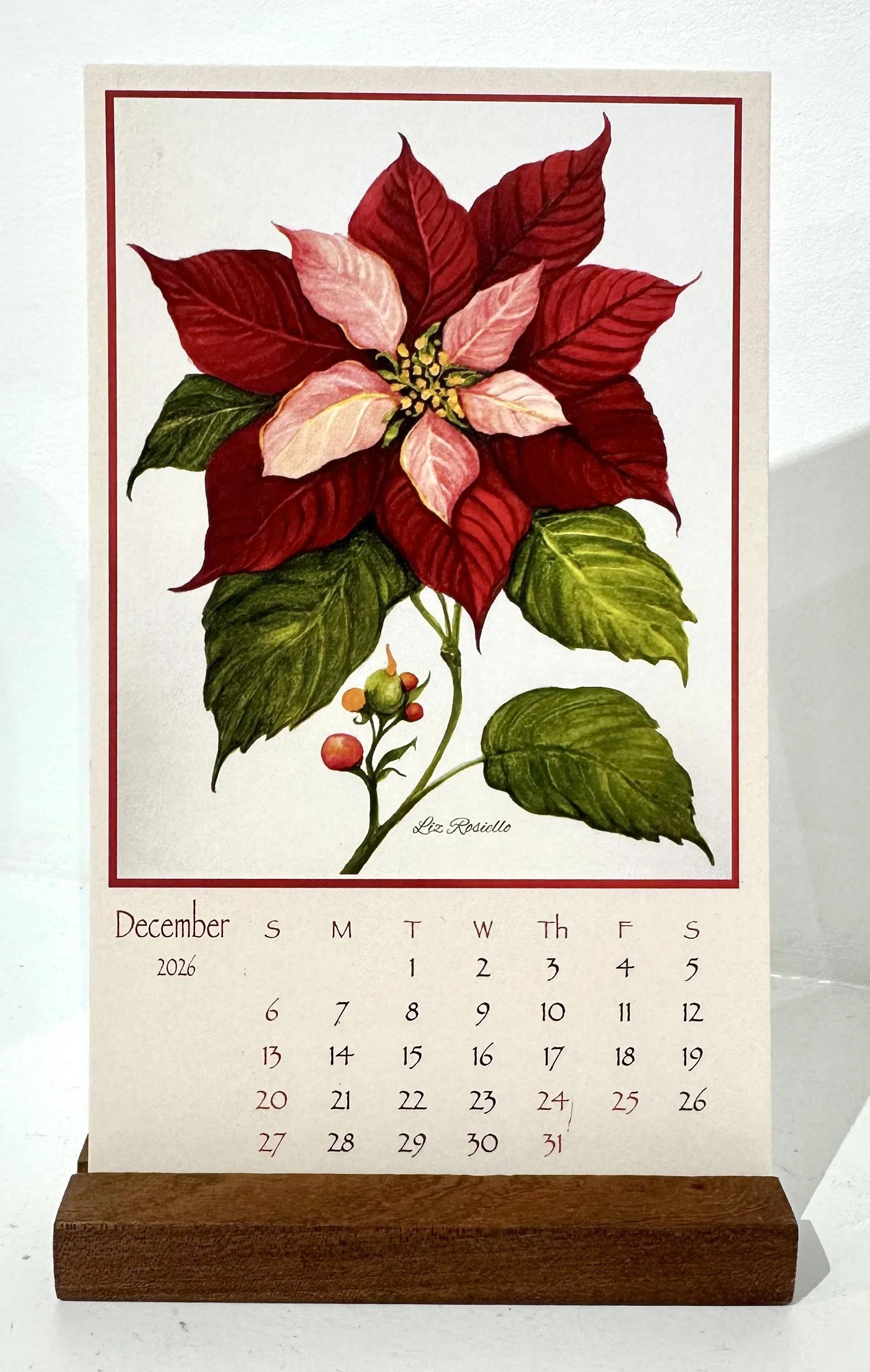 Piontsettia calendar.jpg
