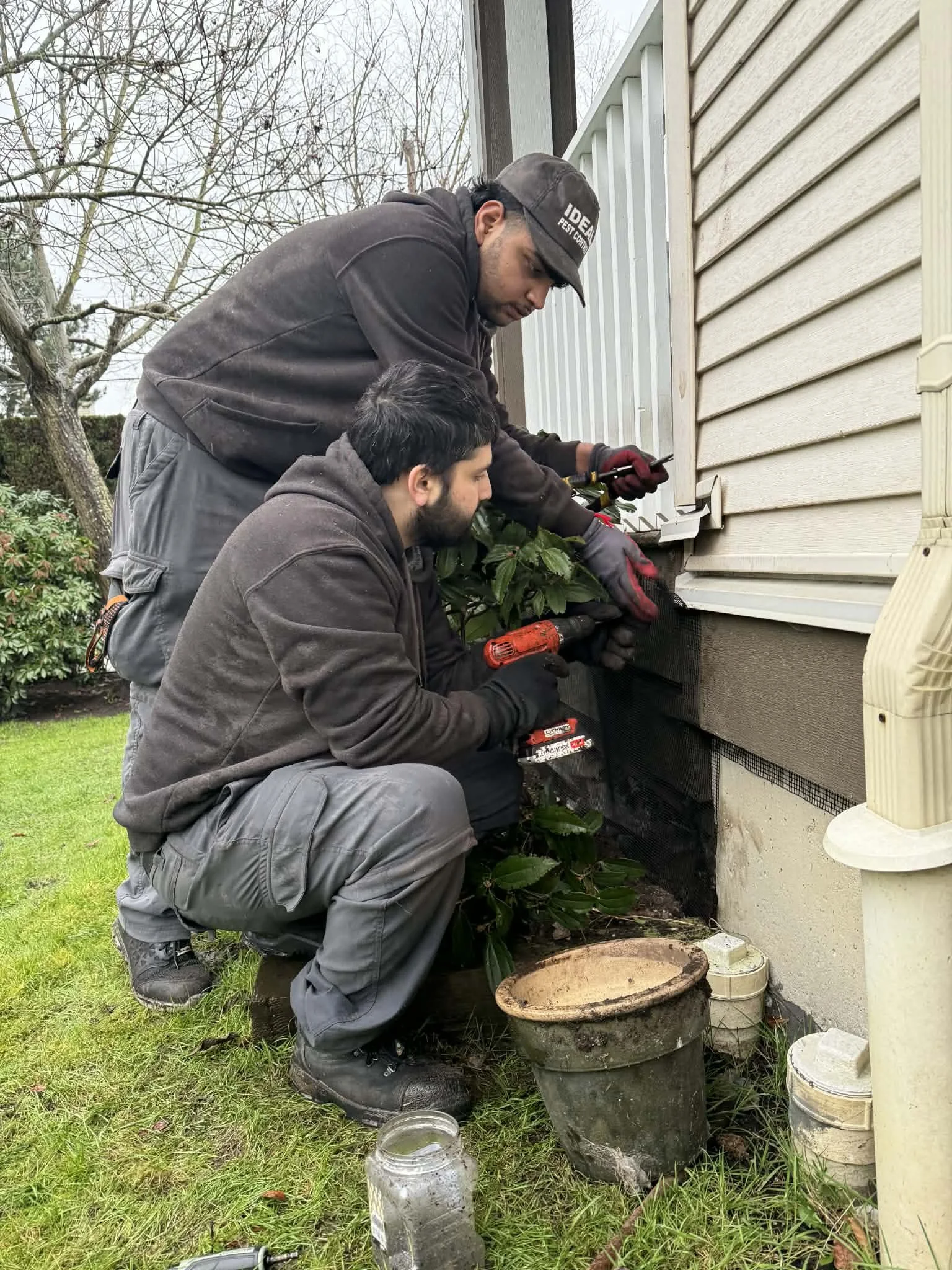 Pest control technicians doing exclusion work with chicken wire mesh to reduce the chances of rodent or wildlife issues.