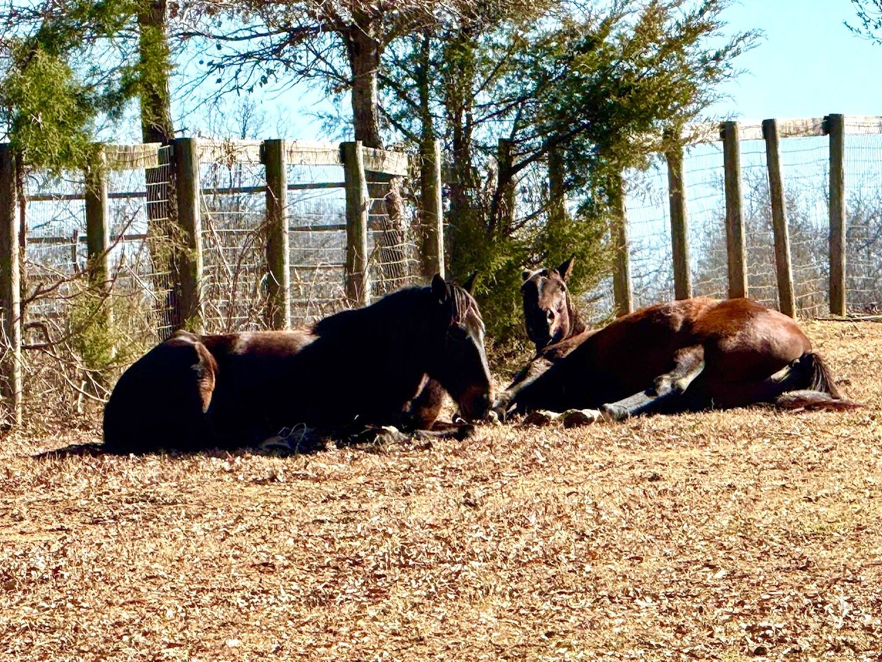 Honoring the expansion of time