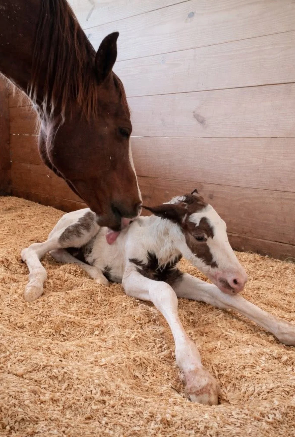 Life is a living Prayer