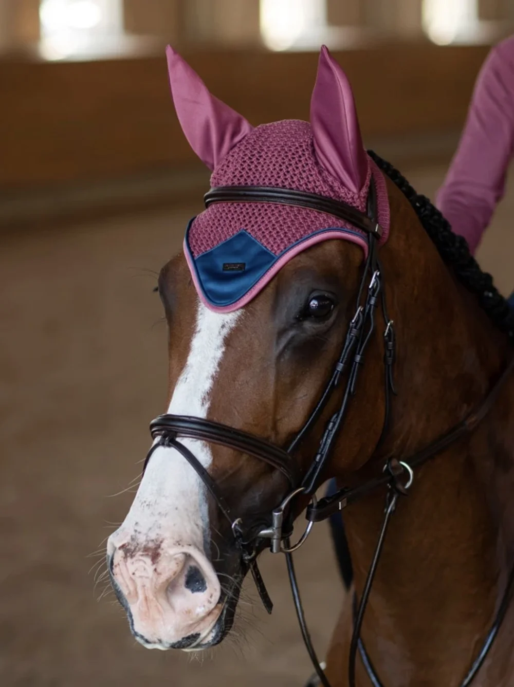 Licol En Cuir Pour Cheval Standardbred - Marron, Taille Adulte (état D'usage)