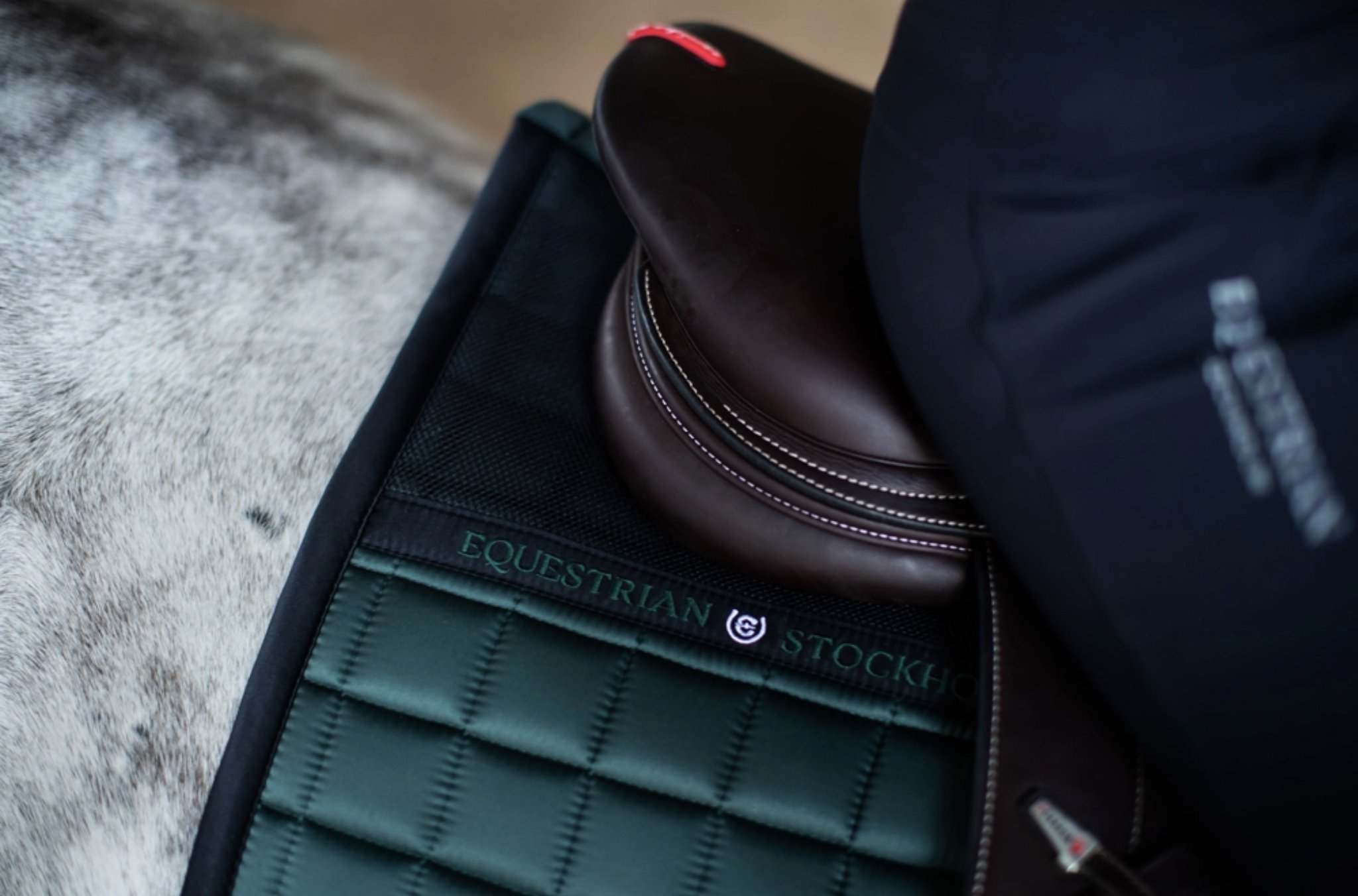 Licol et longe Sycamore Green - Equestrian Stockholm Tailles article cheval  Poney