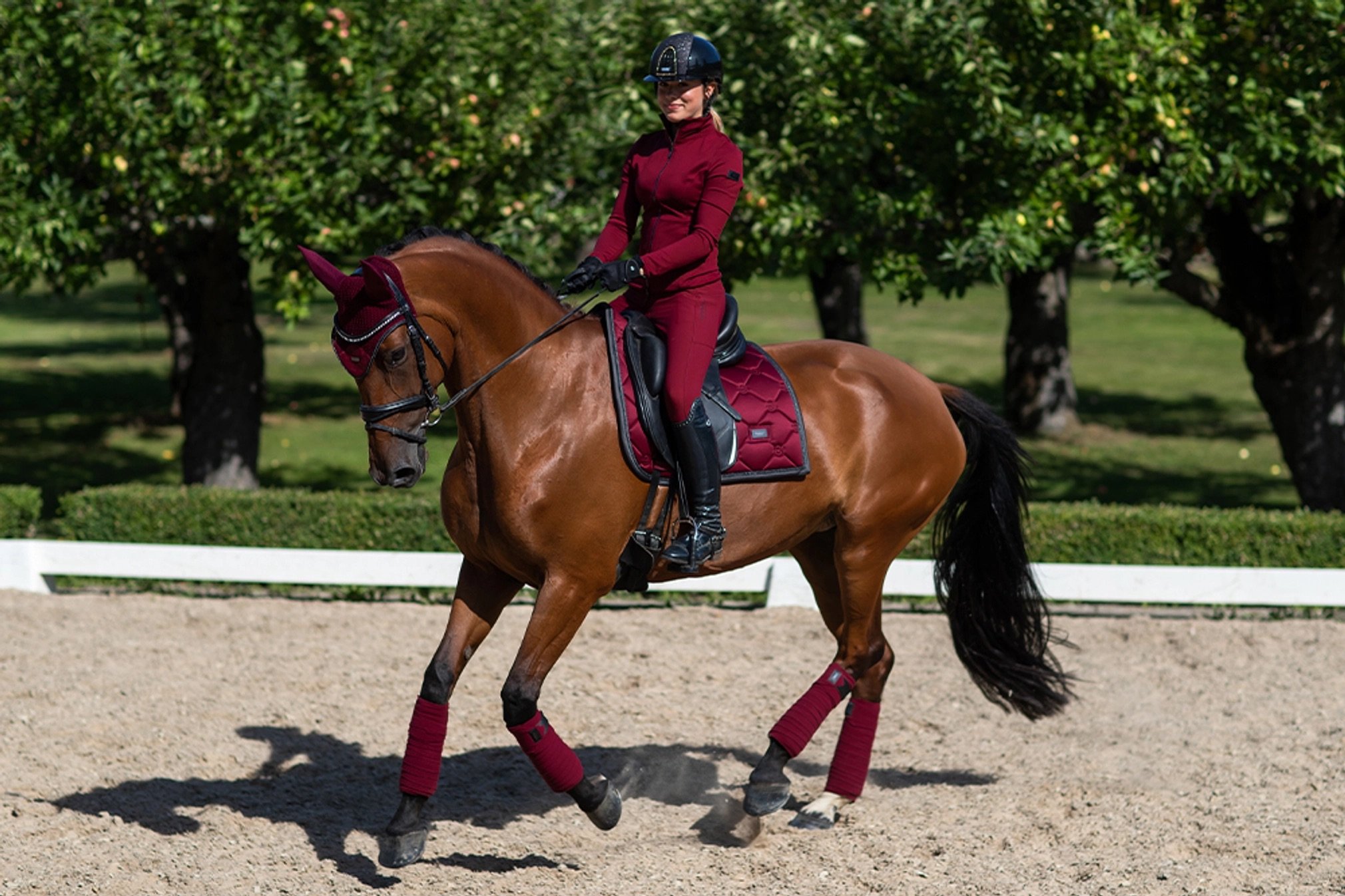 Bordeaux — Shop — Topline Equestrian