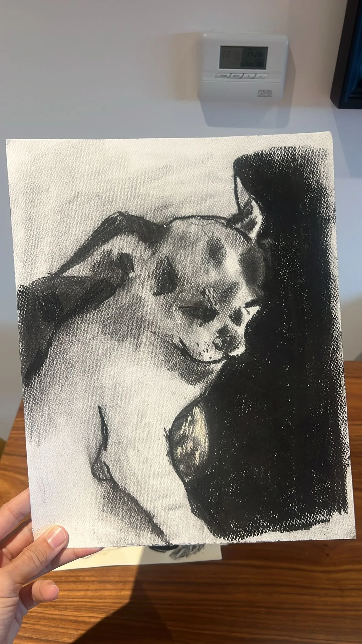 WhatsApp Image 2025-10-24 at 16.45.03 (1).jpeg