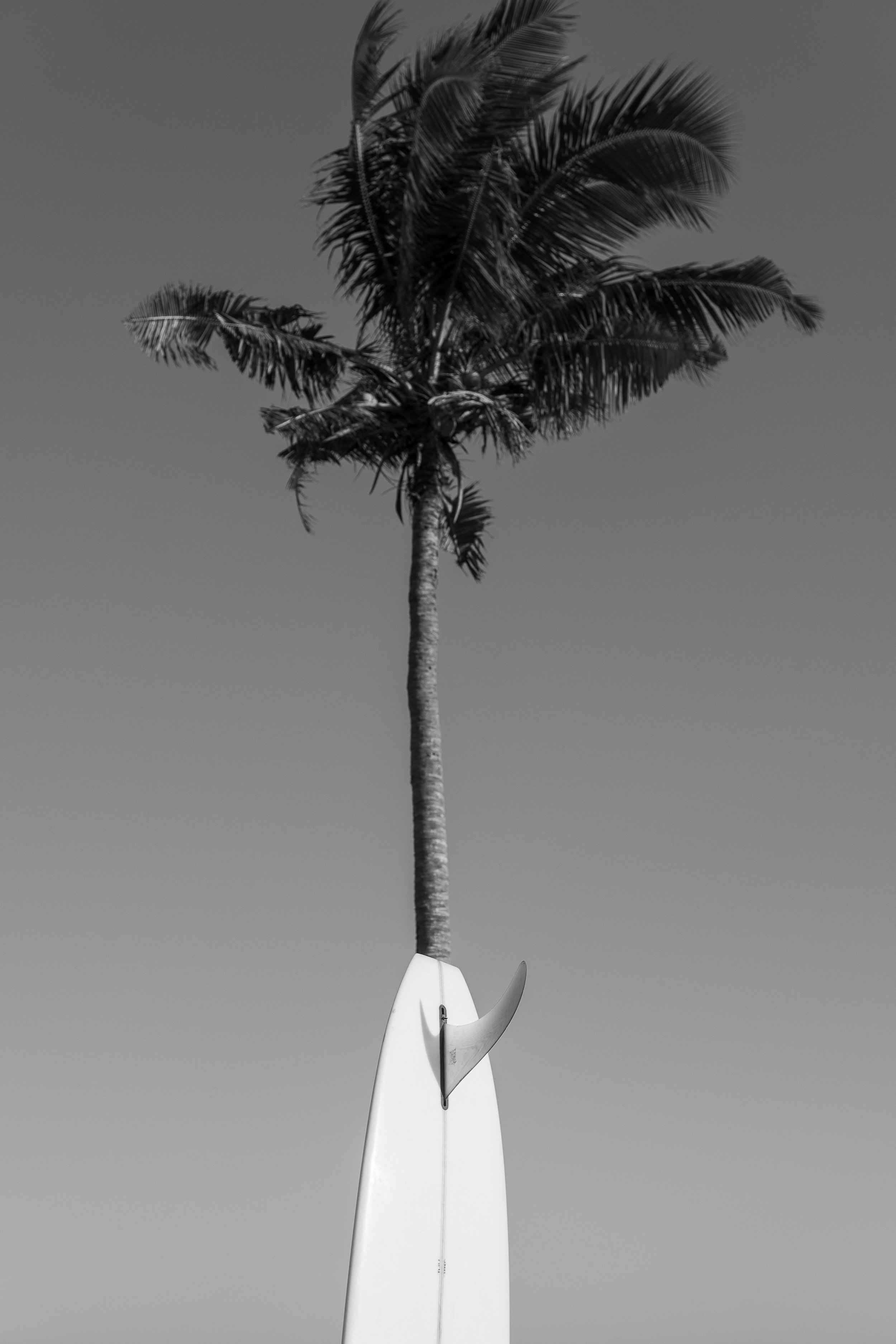 Cocoon Reserve-13.jpg