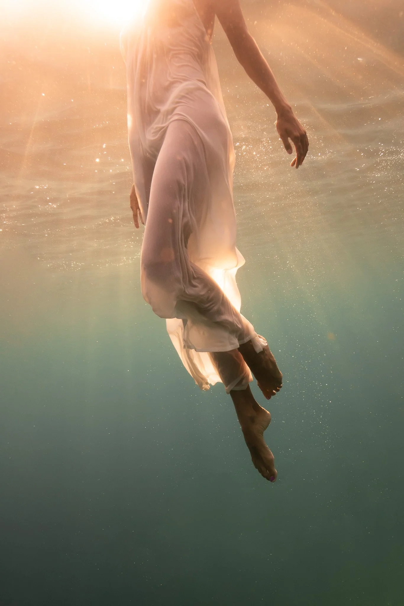 Chosen Flight Low Res.jpg