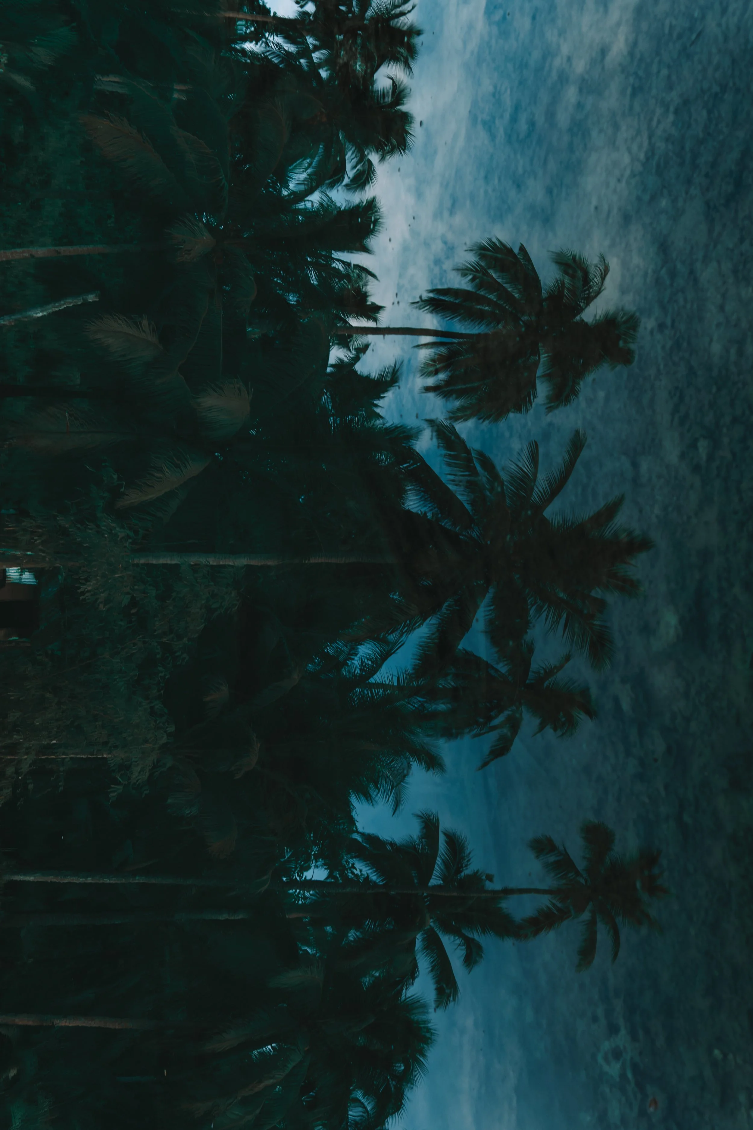 Chie- Low Res-23.jpg